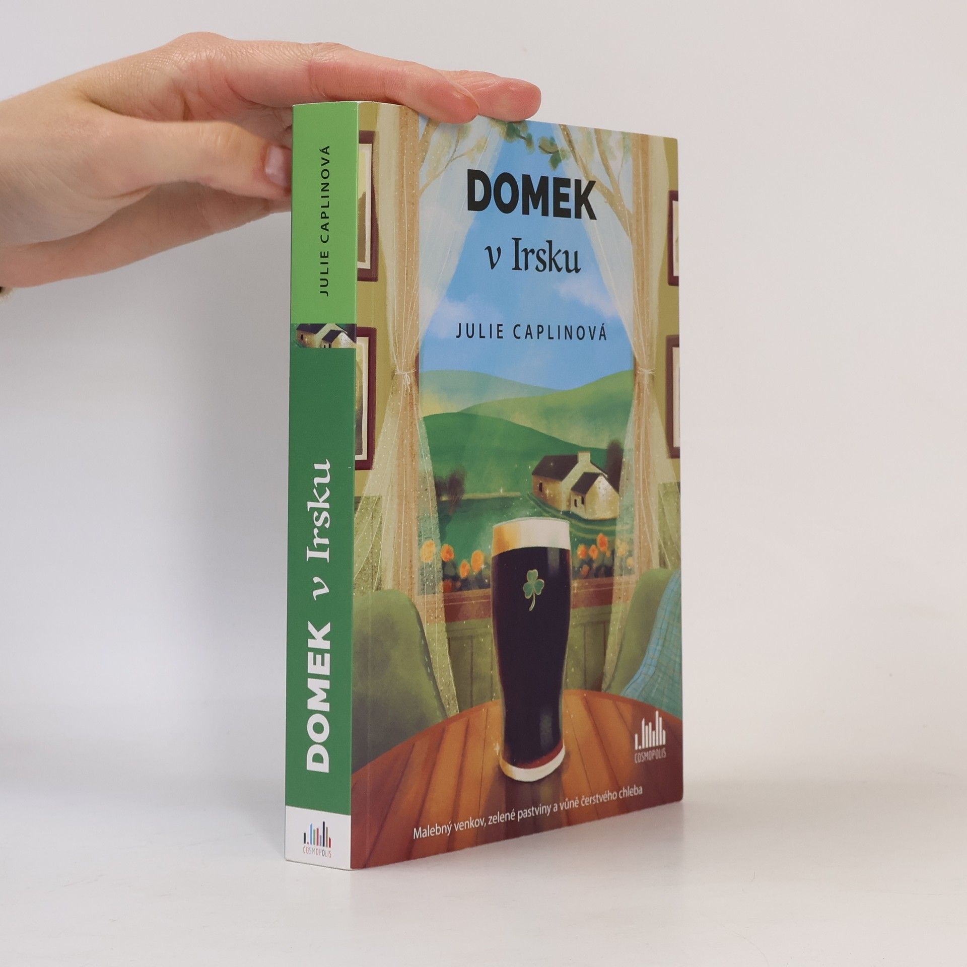 Julie Caplin Domek v Irsku