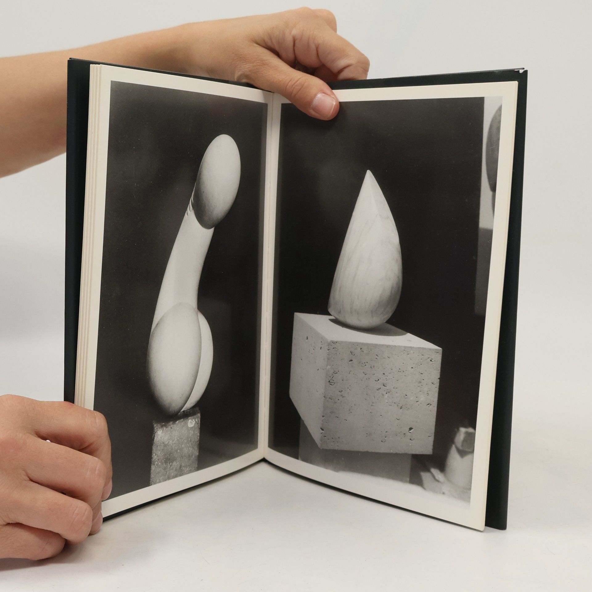 Elizabeth A. R. Brown Constantin Brancusi - Photograph