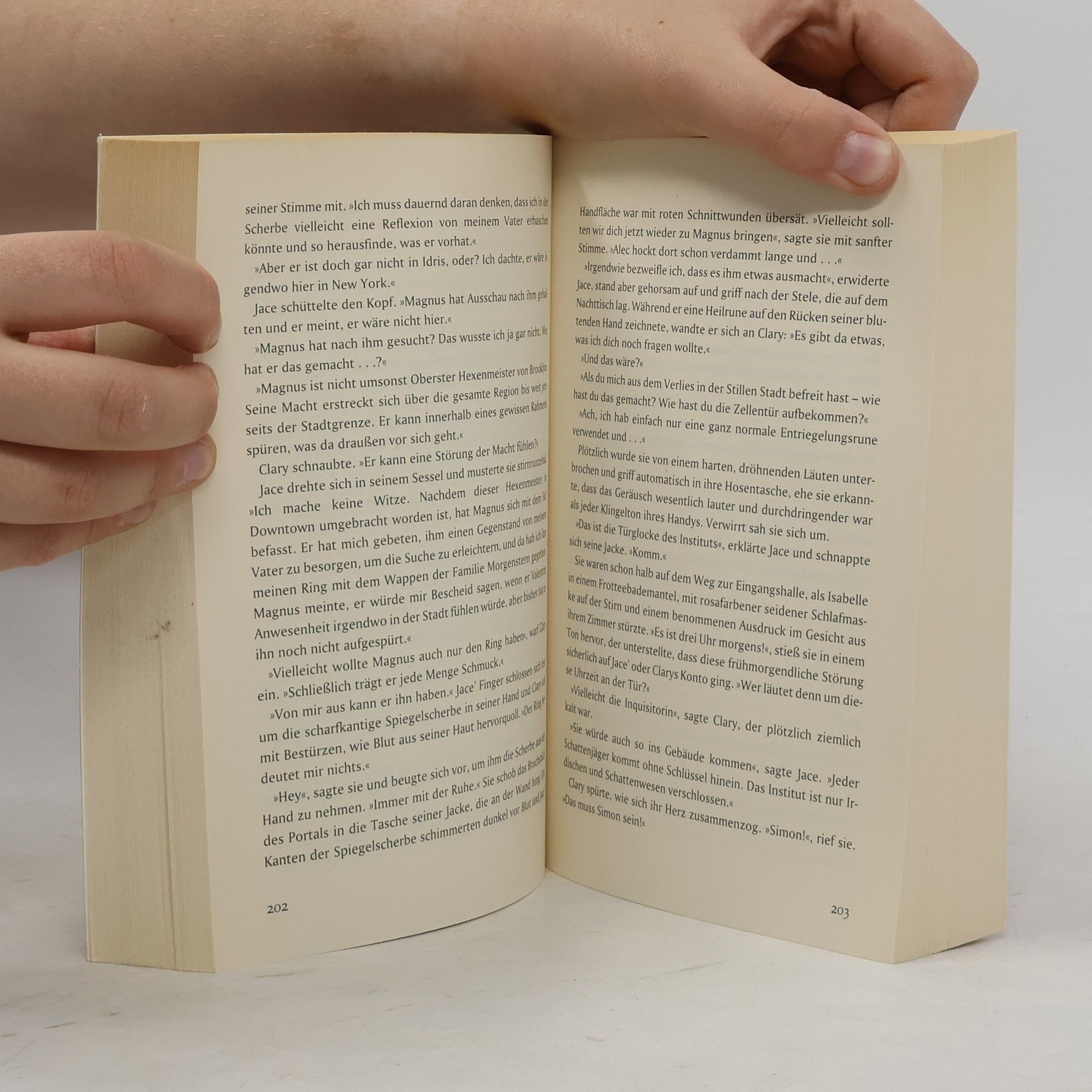 Cassandra Clare Chroniken der Unterwelt