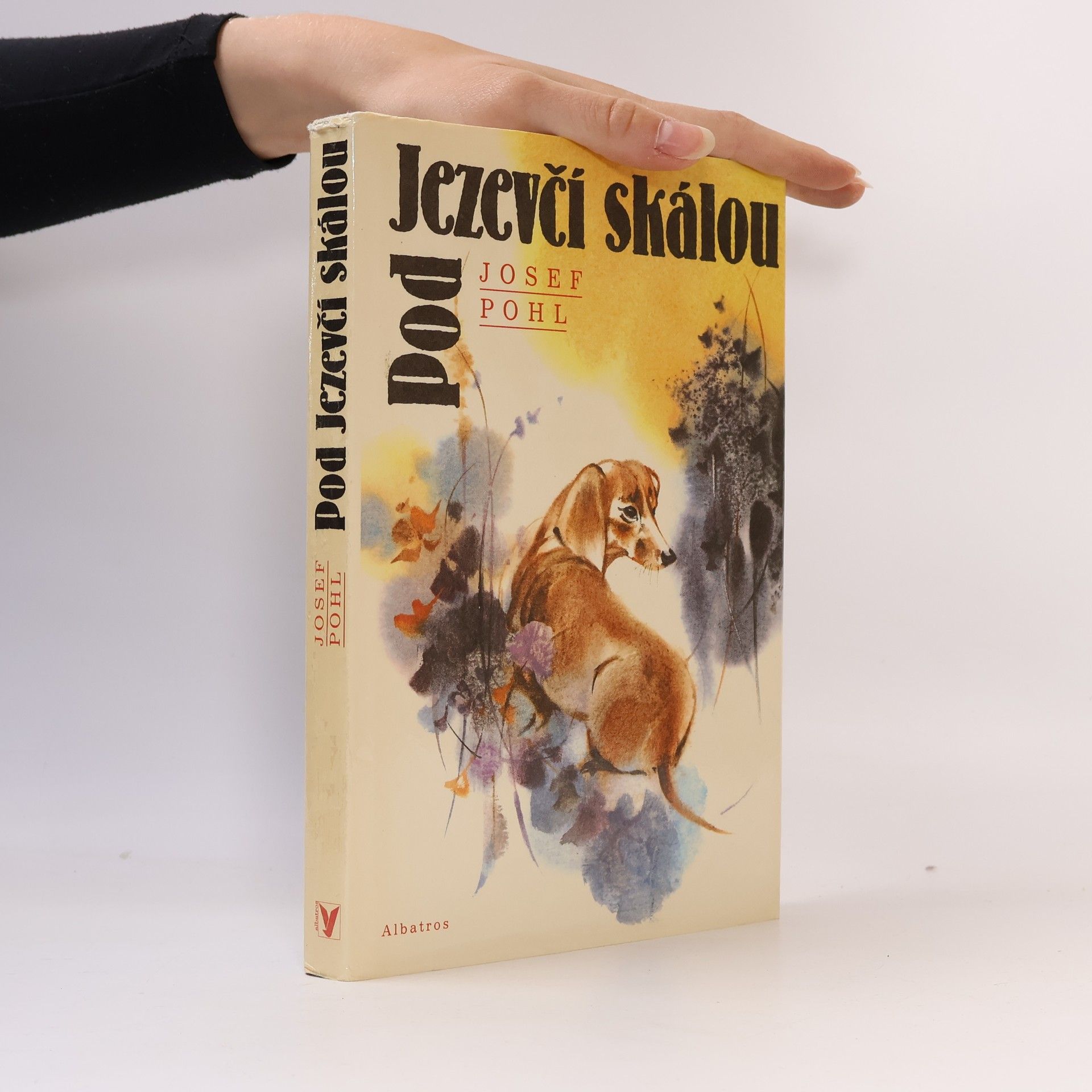 Josef Pohl Pod Jezevčí skálou