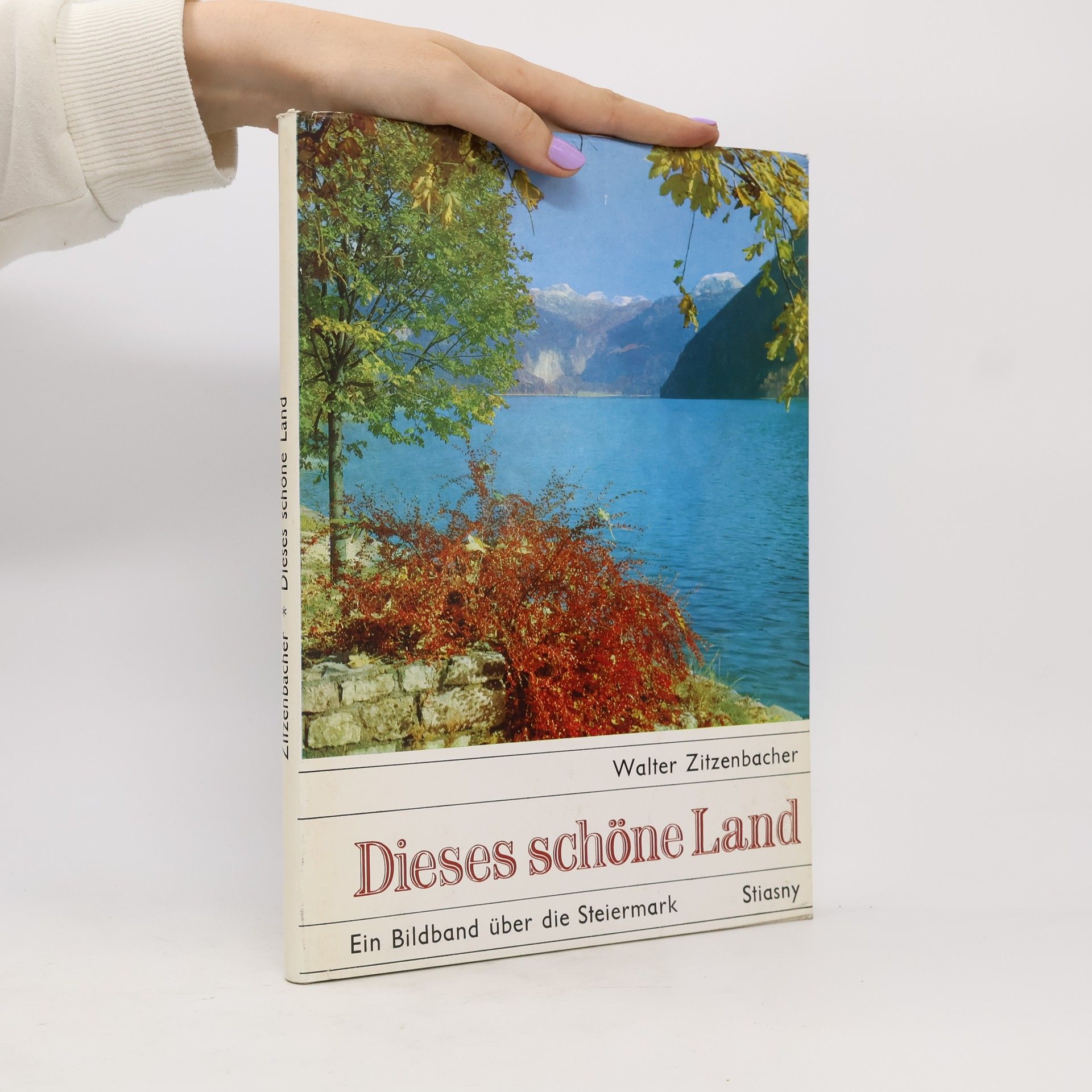 Walter Zitzenbacher Dieses schöne Land