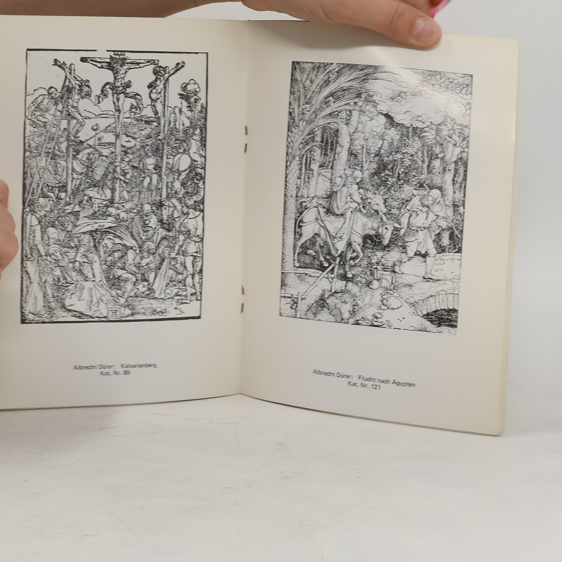 Albrecht Dürer Sein Kreis und seine Zeit