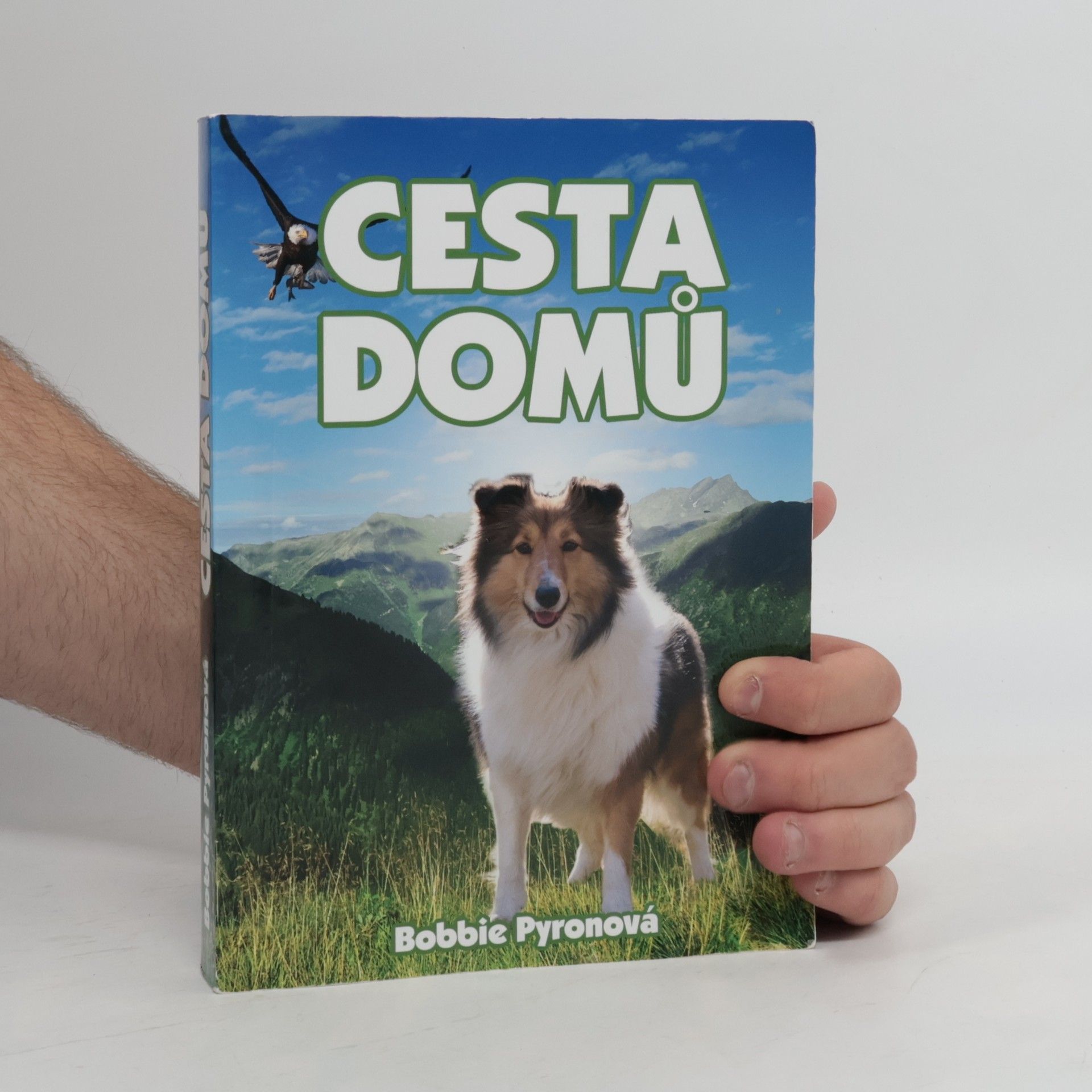 Bobbie Pyron Cesta domů