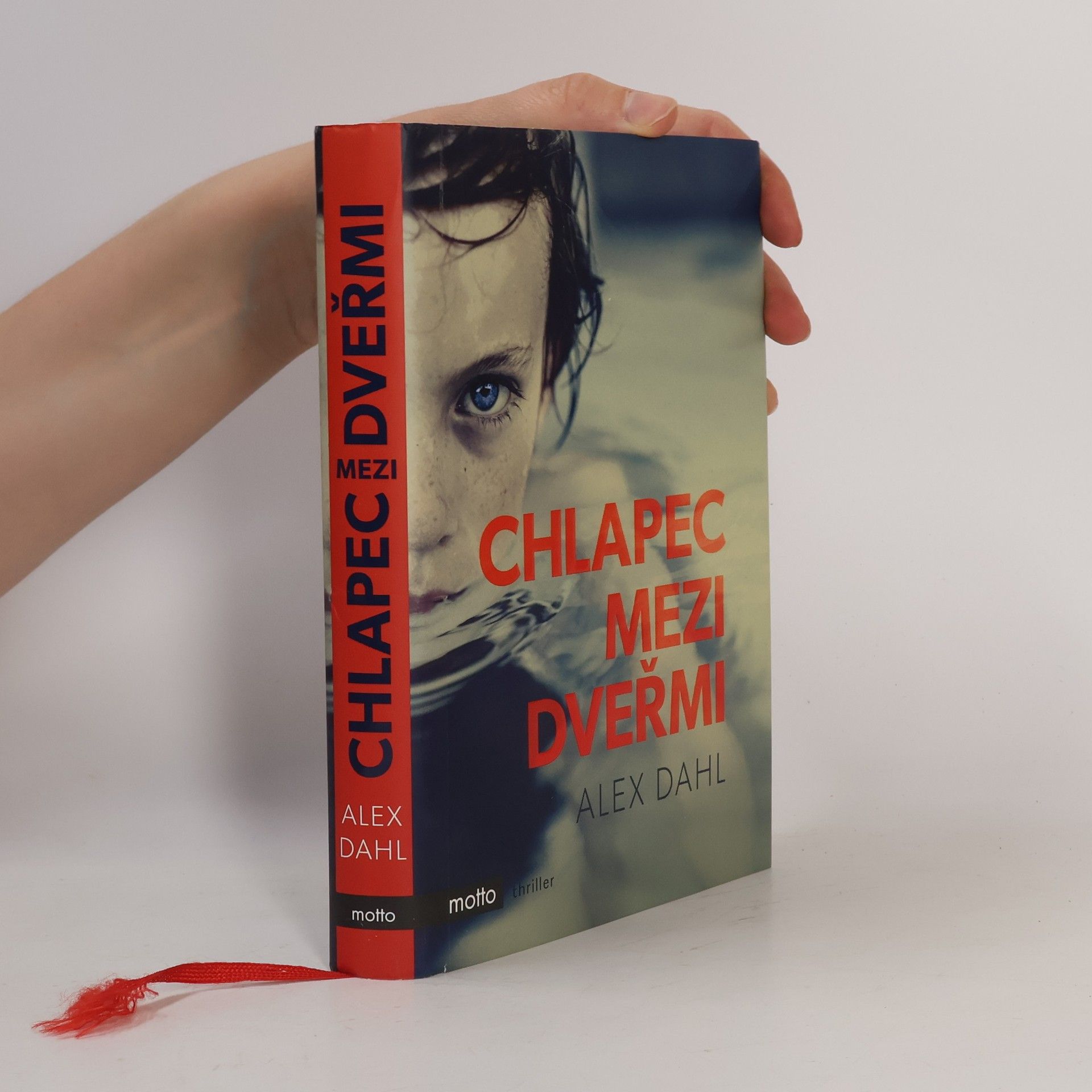 Alex Dahl Chlapec mezi dveřmi