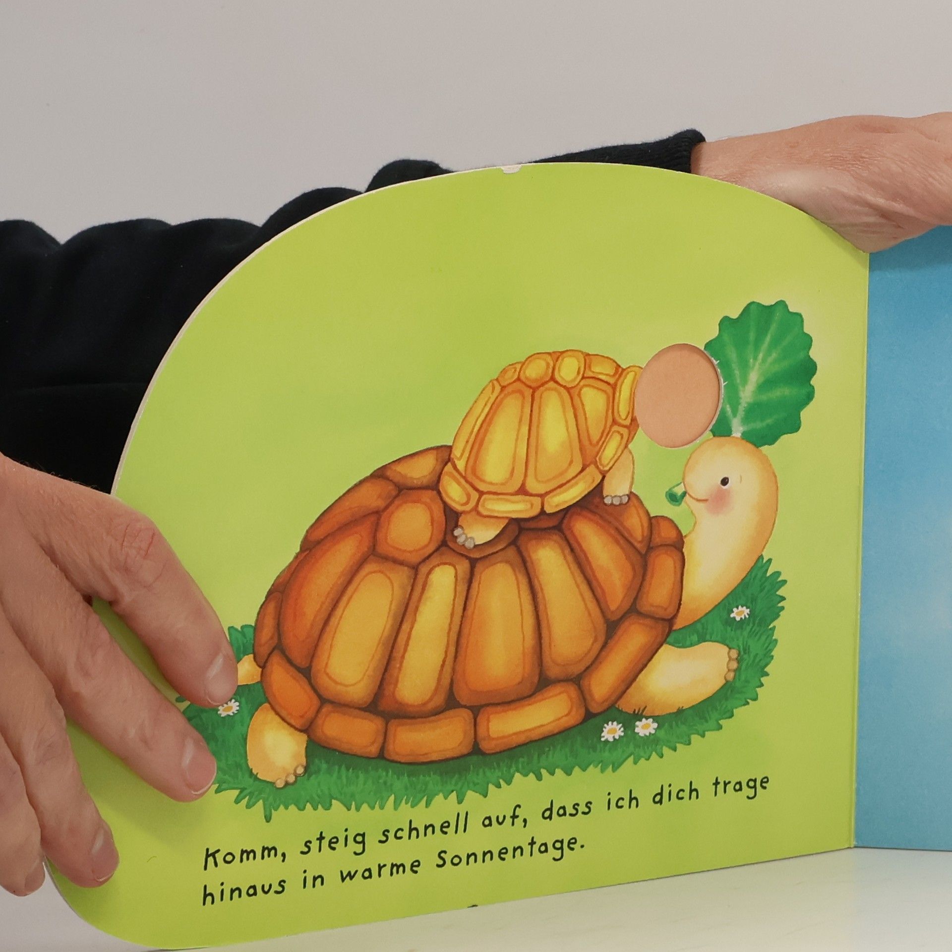 Denitza Gruber Mein erstes Fingerspielbuch