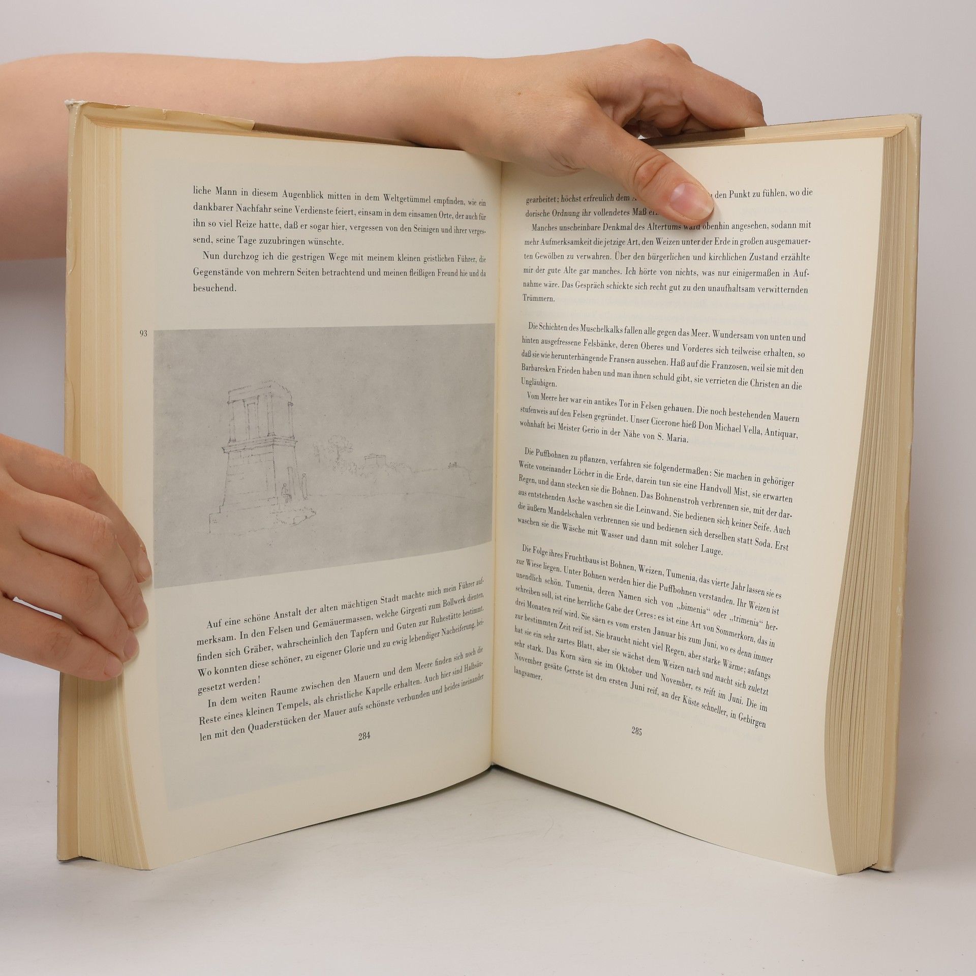 Johann Wolfgang von Goethe Italienische Reise
