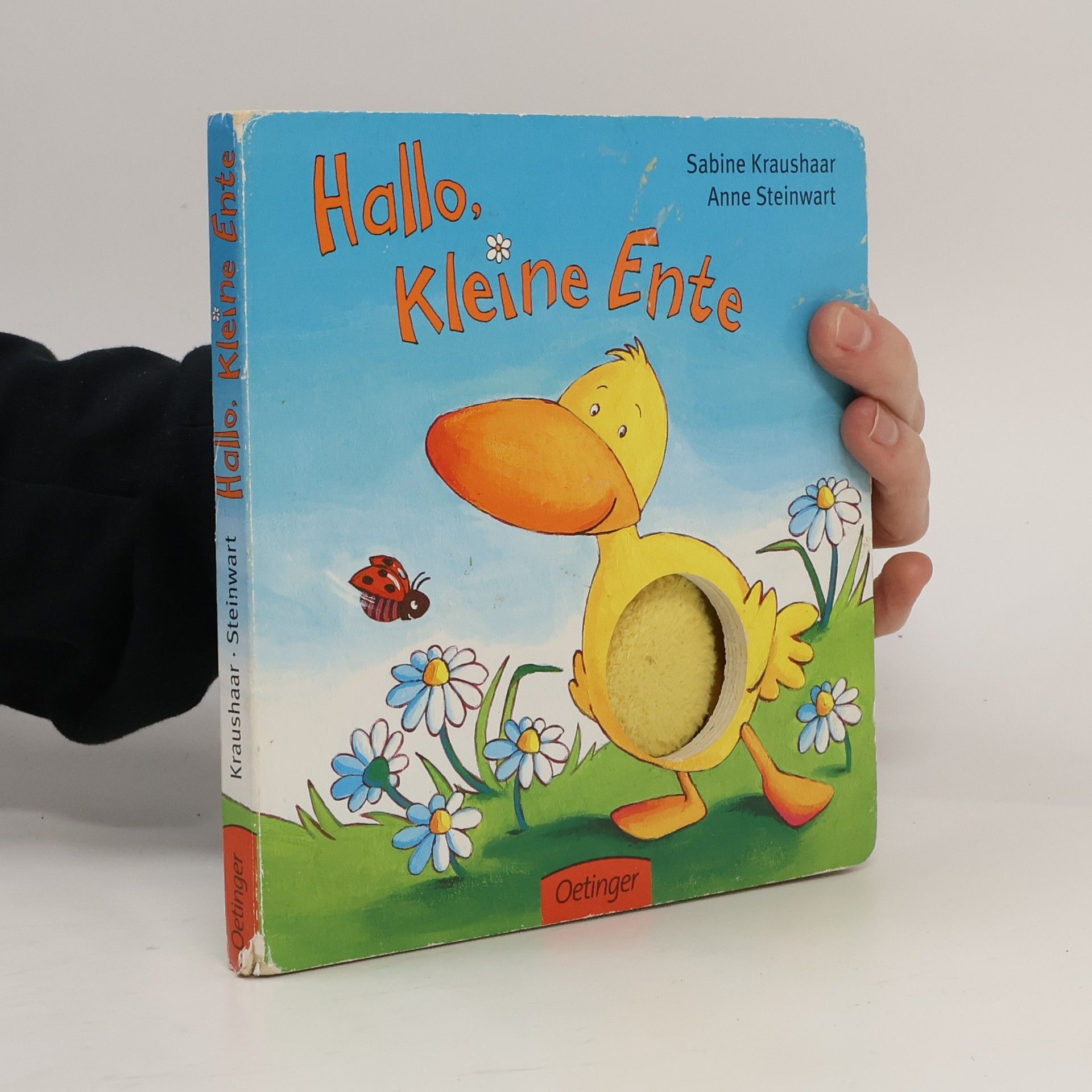 Hallo, kleine Ente