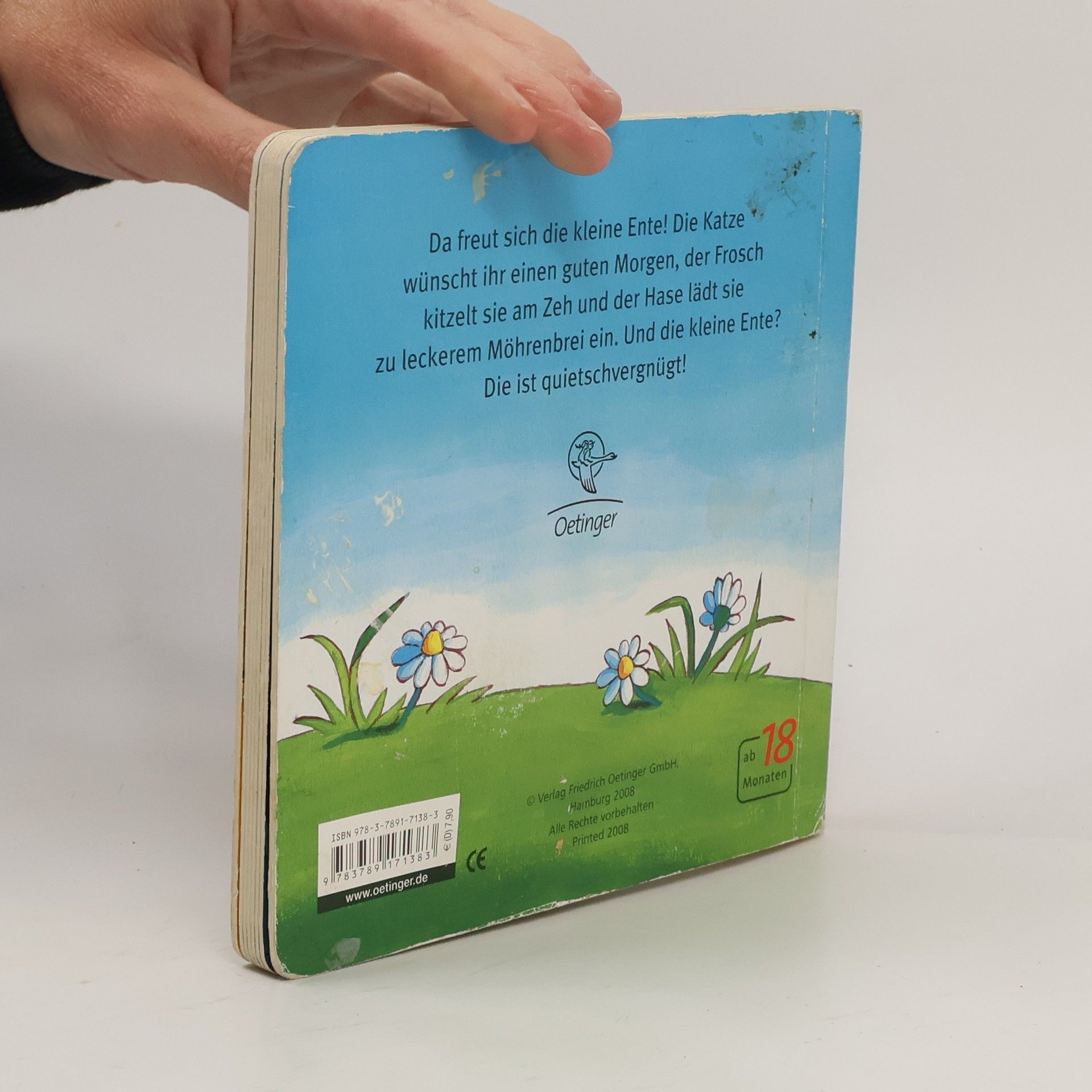 Sabine Kraushaar Hallo, kleine Ente