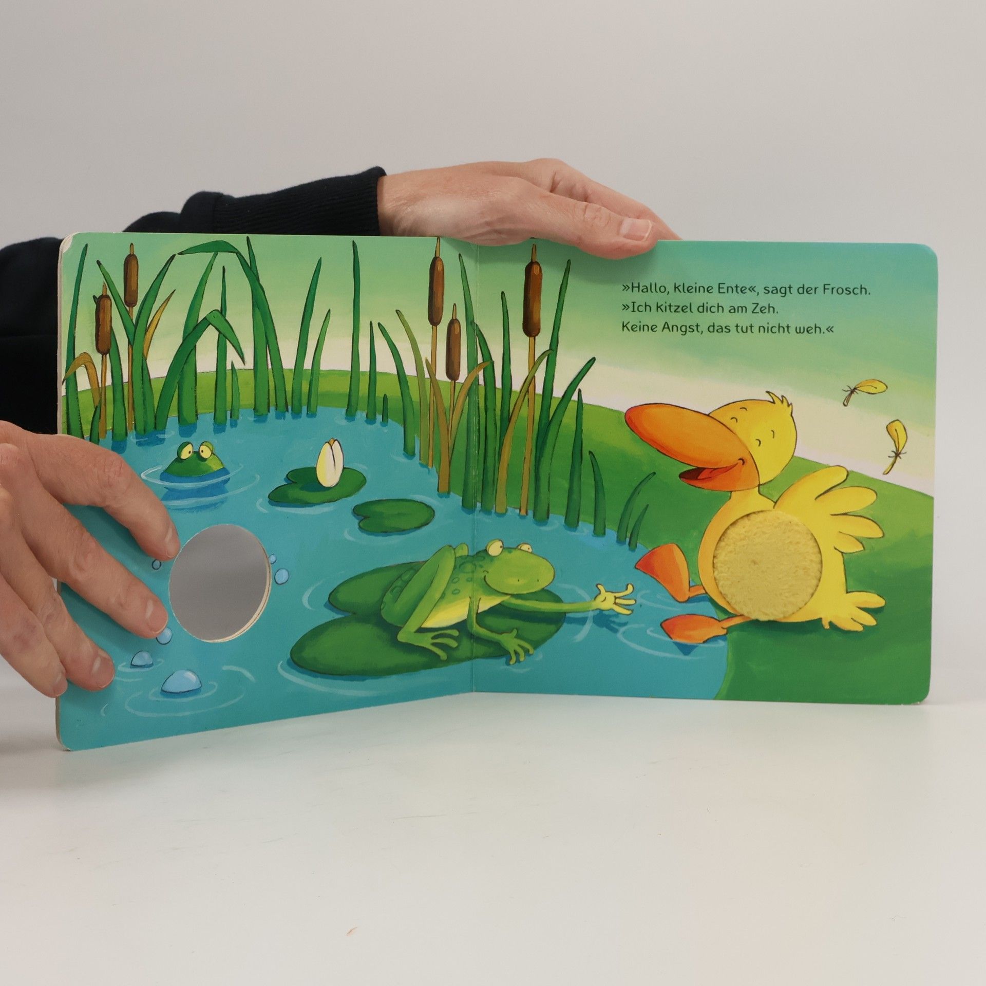 Sabine Kraushaar Hallo, kleine Ente