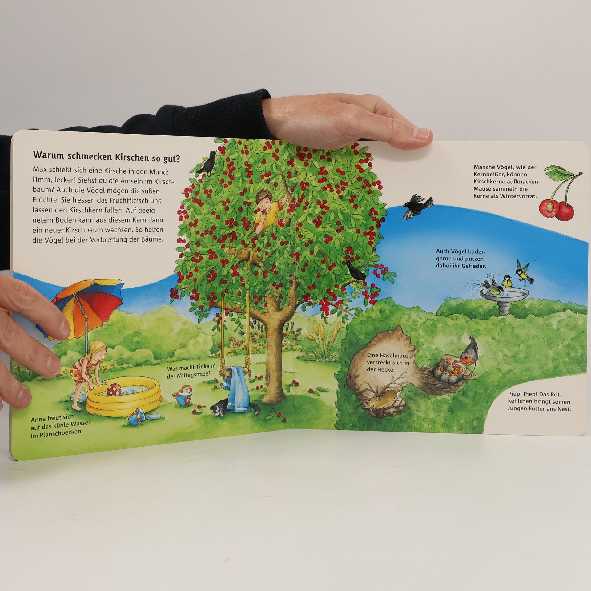 Autorenkollektiv Wir entdecken den Garten