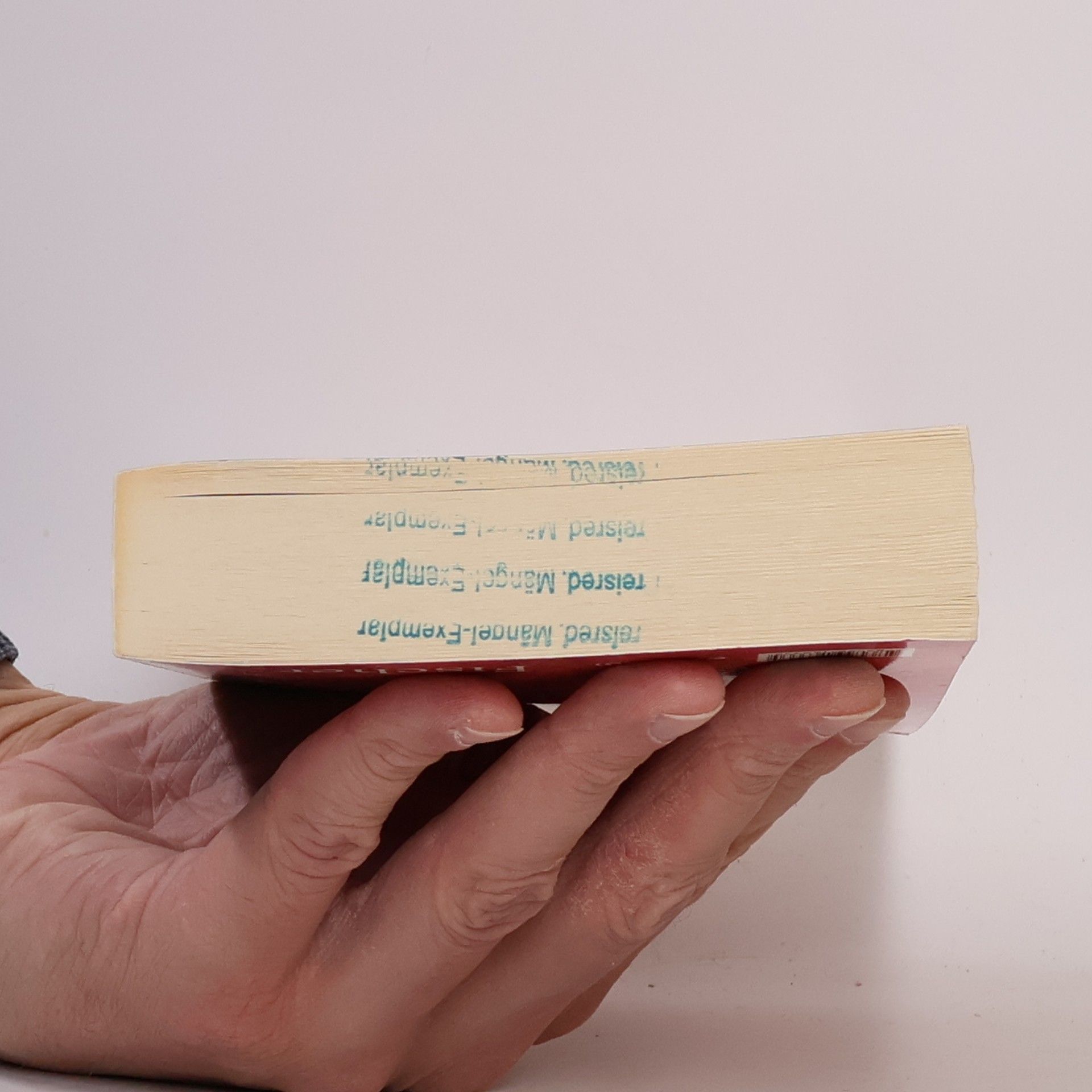 Thomas R. P. Mielke Der Palast von Avignon