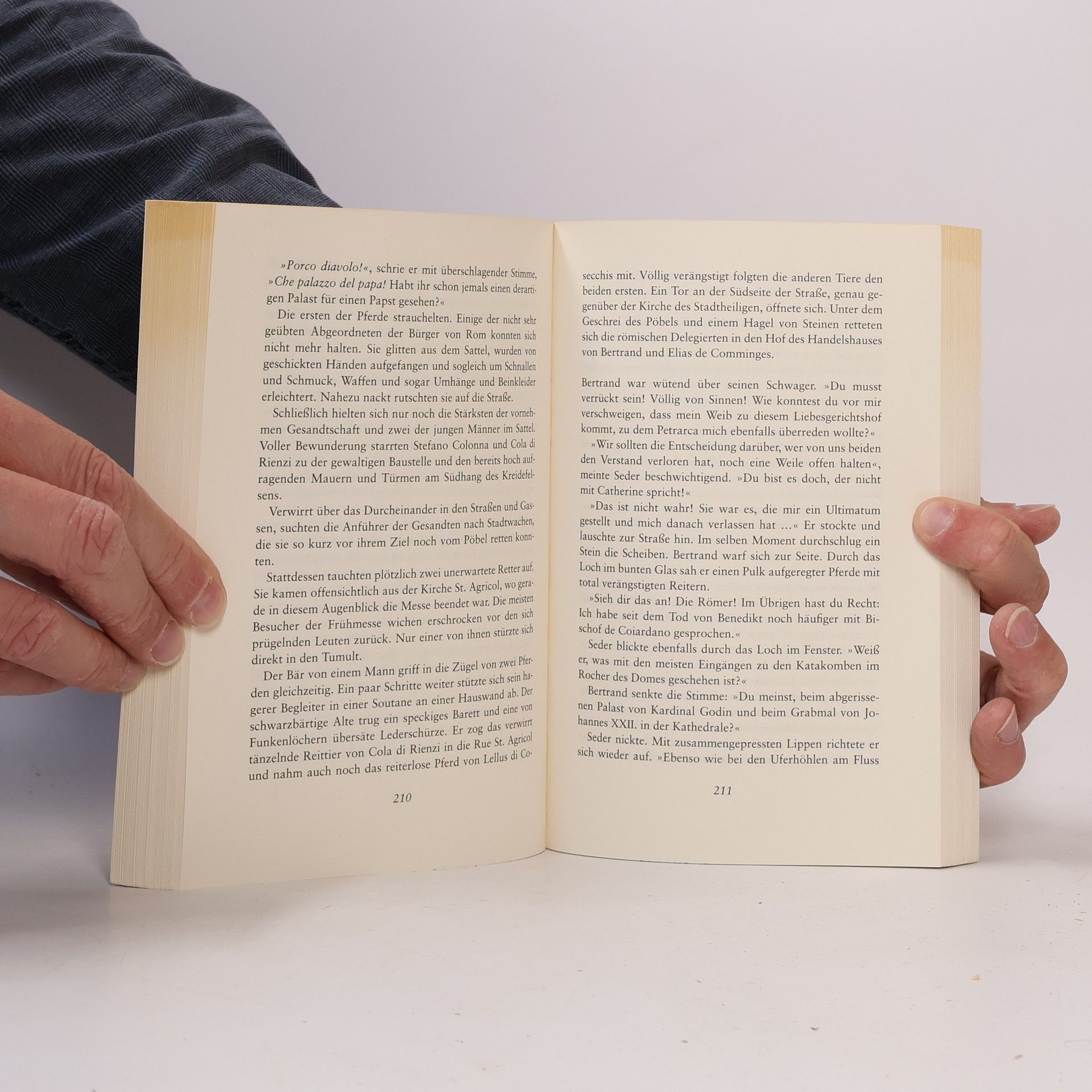 Thomas R. P. Mielke Der Palast von Avignon