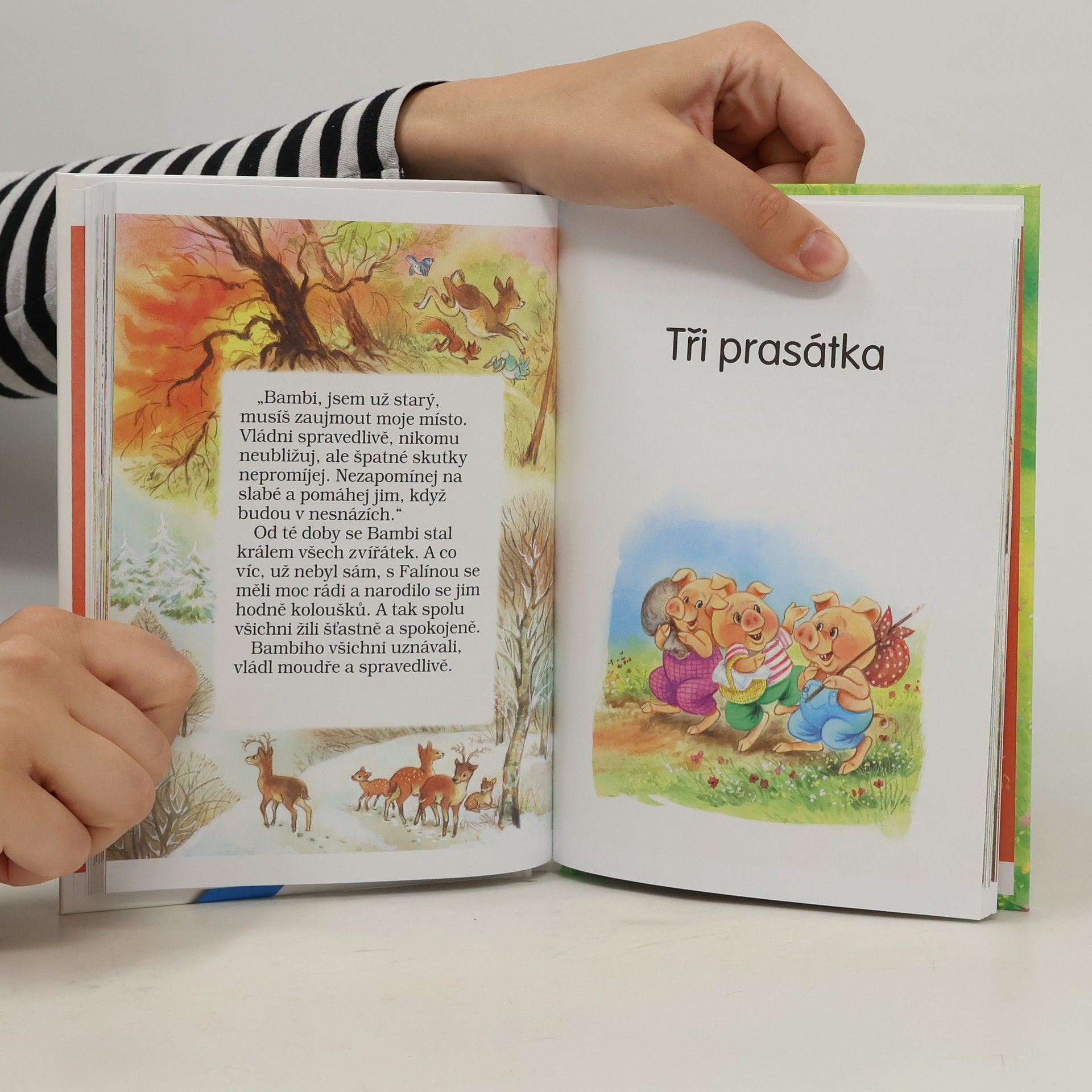 Autorenkollektiv Pohádkové čtení o zvířátkách