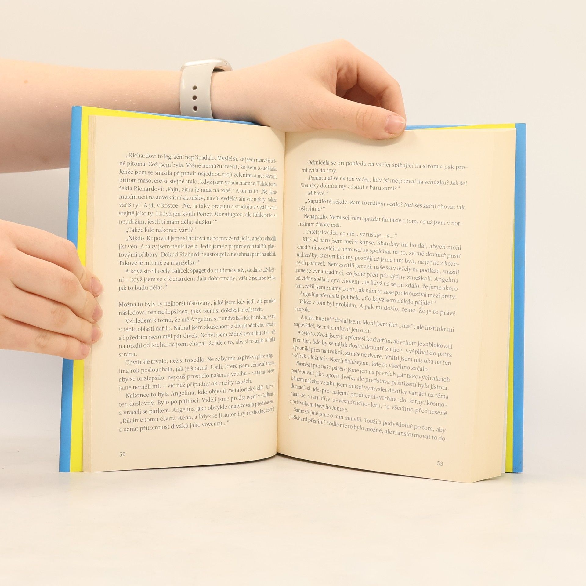 Graeme Simsion Dozvuky mých lásek