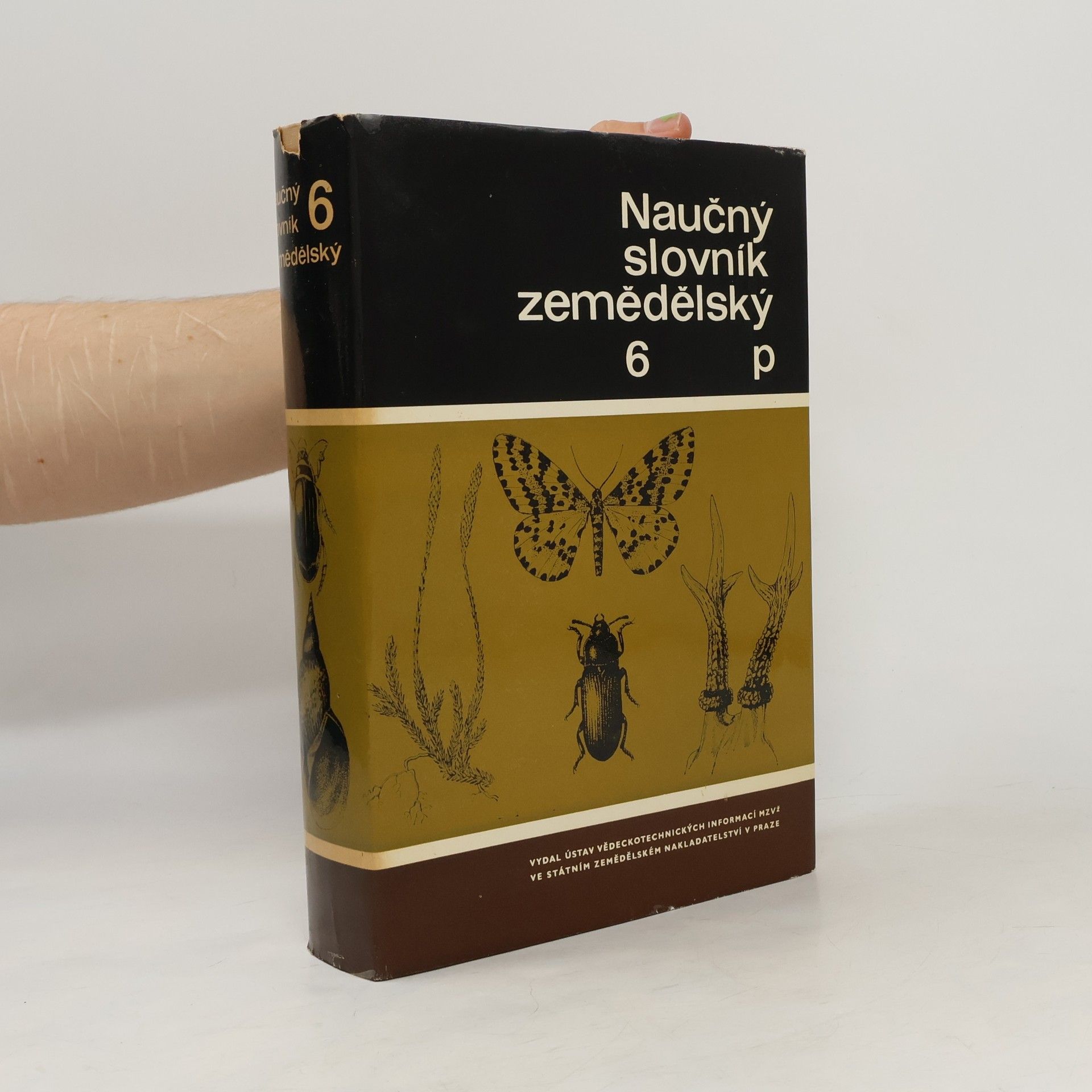 Auteurscollectief Naučný slovník zemědělský 6 - P