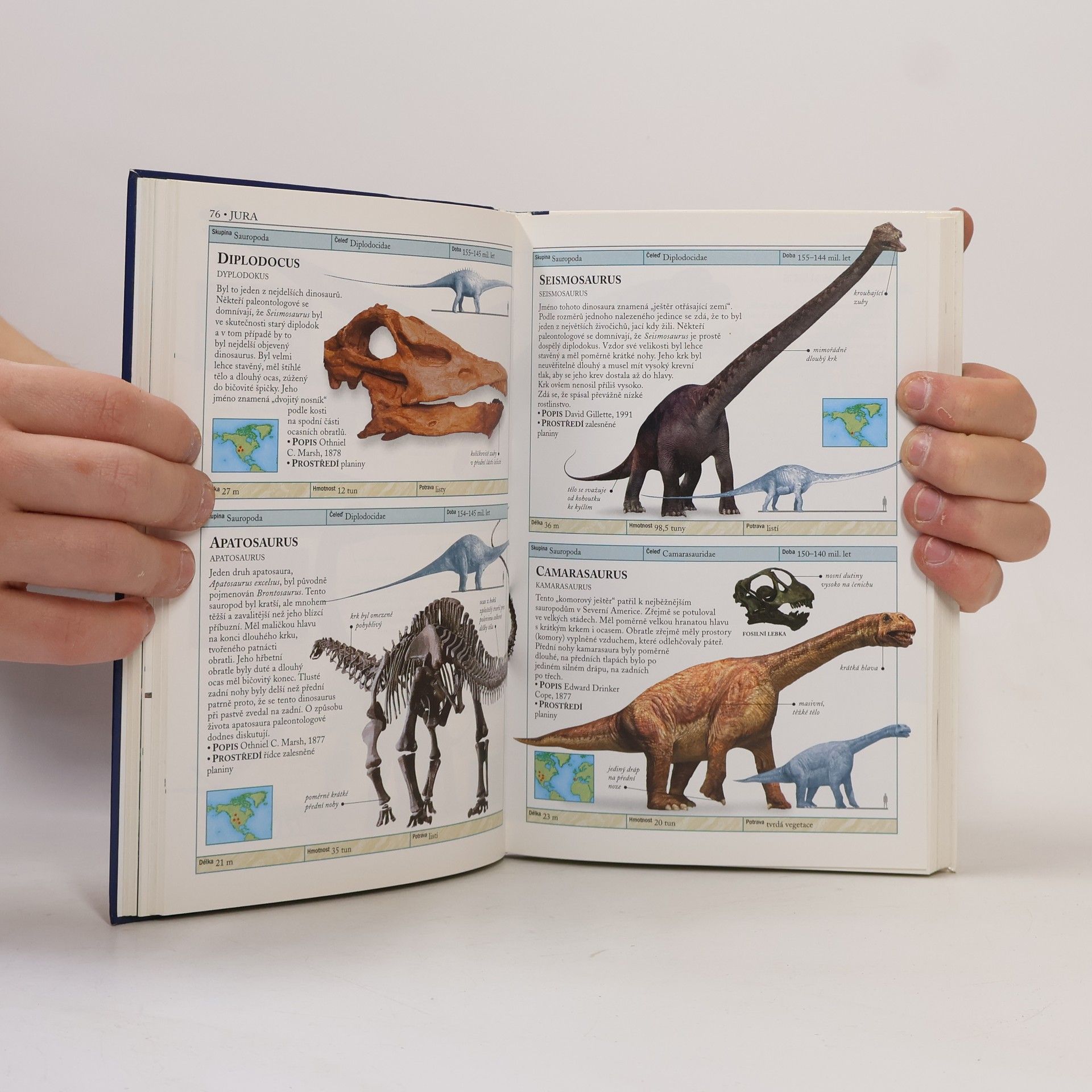Hazel Richardson Dinosauři a život v pravěku