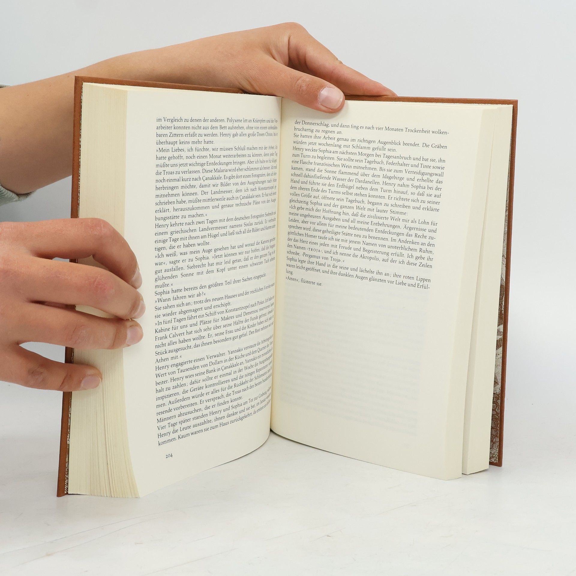 Irving Stone Der griechische Schatz
