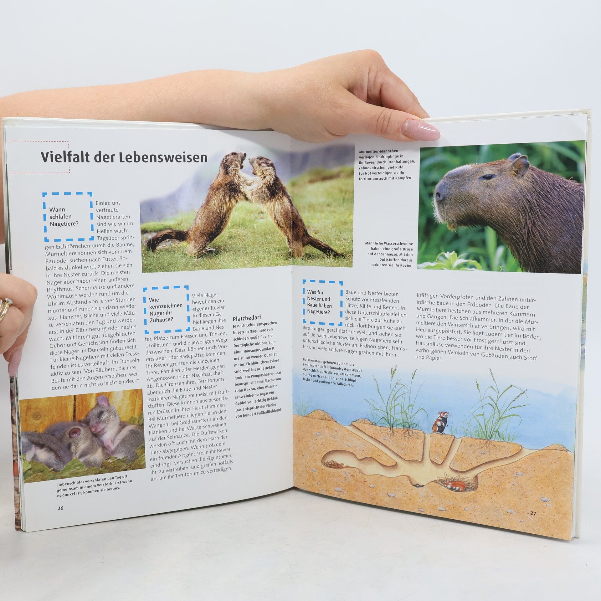 Kolektiv autorů Was ist Was 128. Hamster, Biber und andere Nagitiere