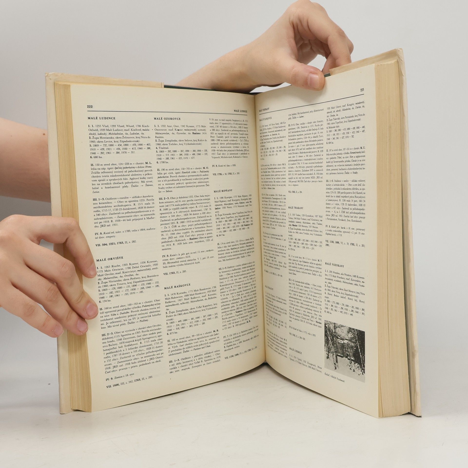 Autorenkollektiv Vlastivedný slovník obcí na Slovensku II