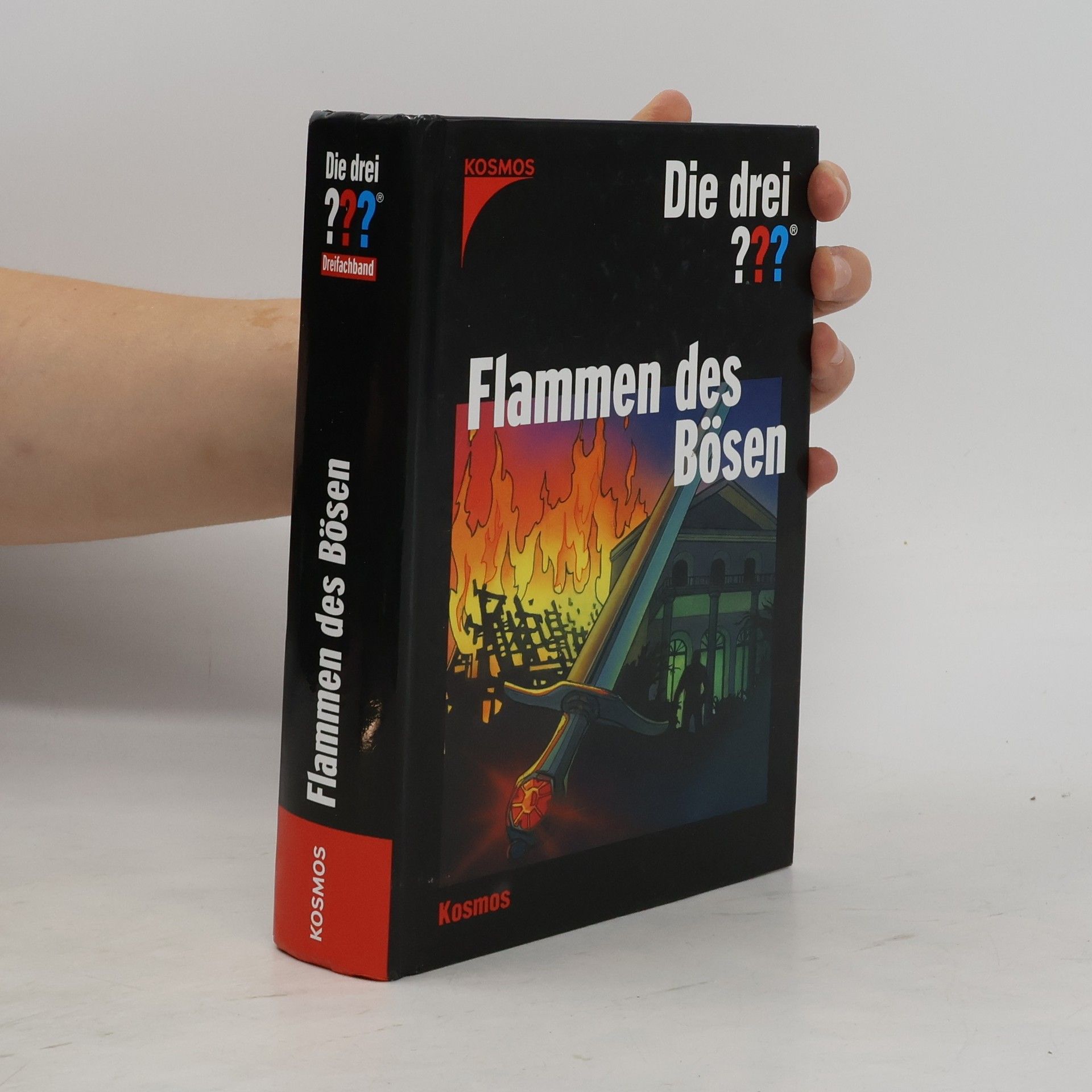 Die drei ??? - Flammen des Bösen