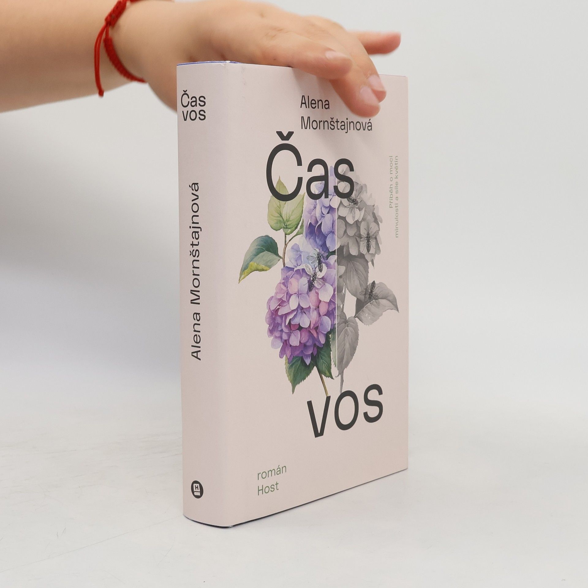 Alena Mornštajnová Čas vos