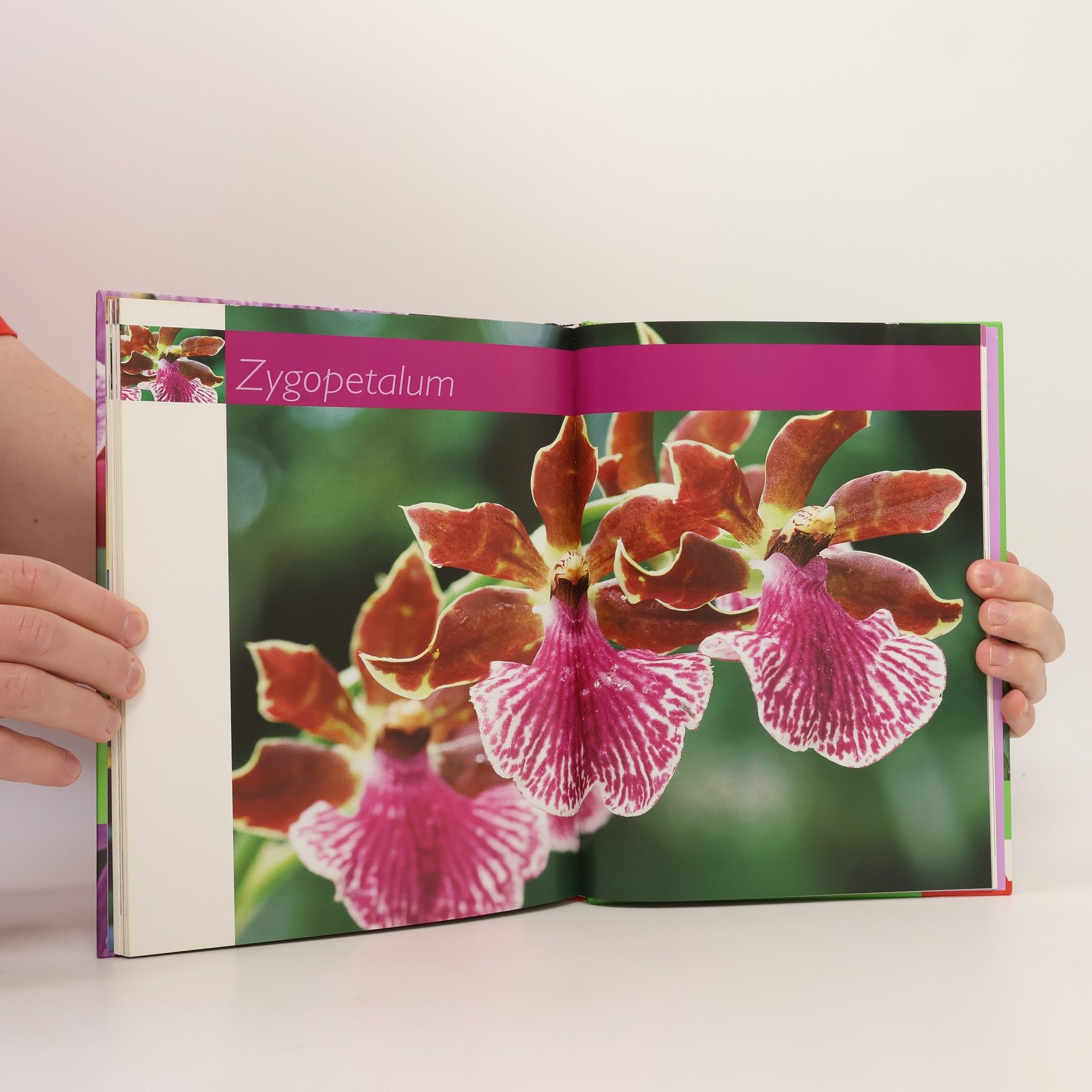 Jörn Pinske Orchideen für jeden