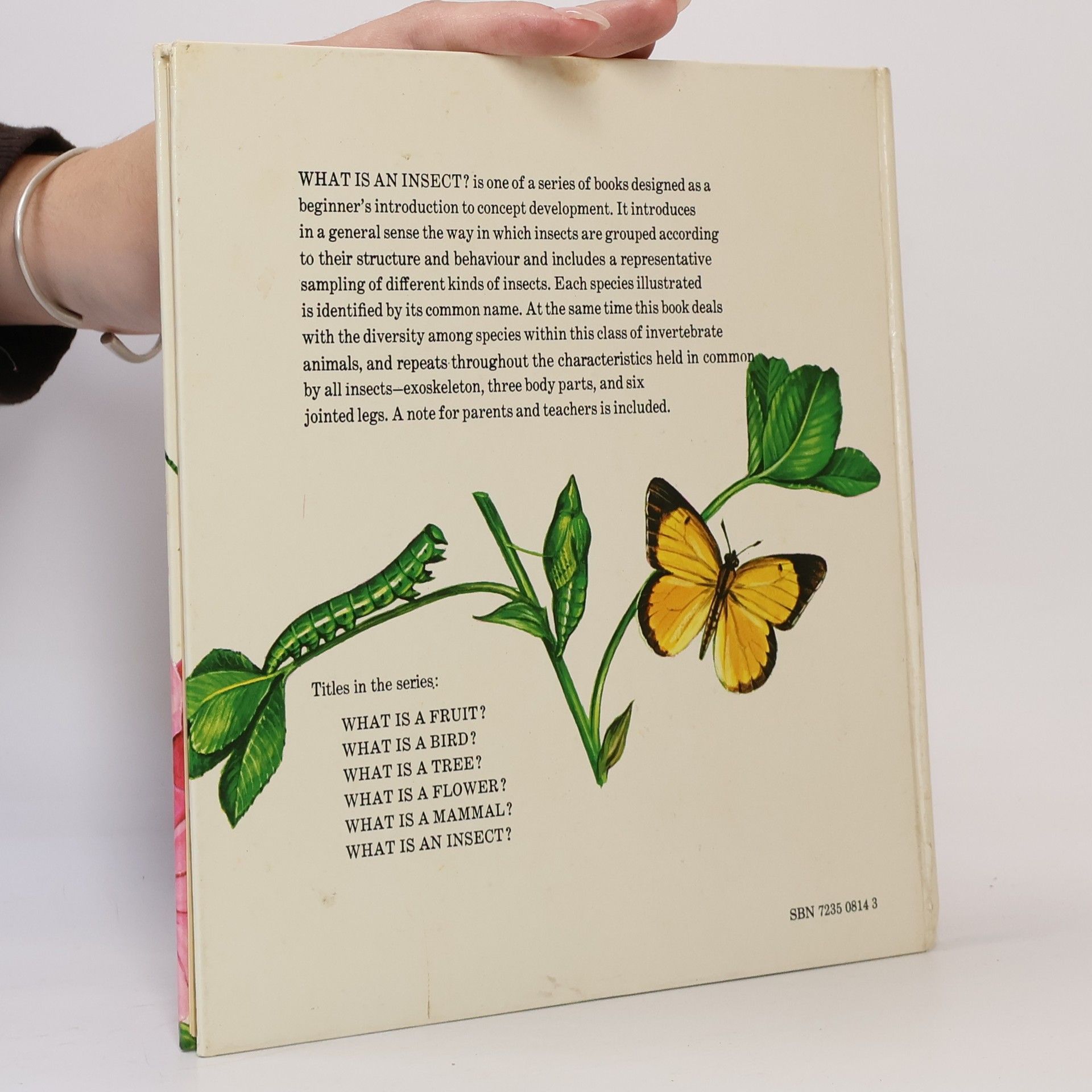 Autorenkollektiv What is an Insect?