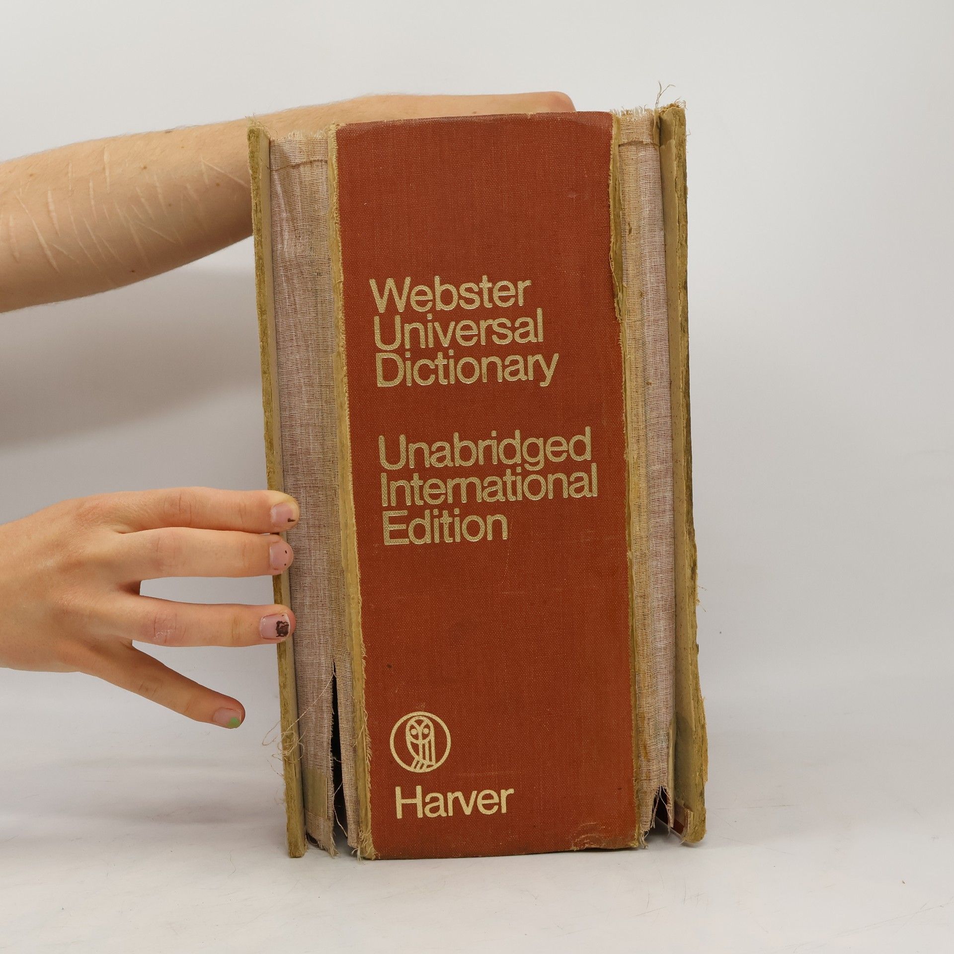 AA.VV. Webster Universal Dictionary