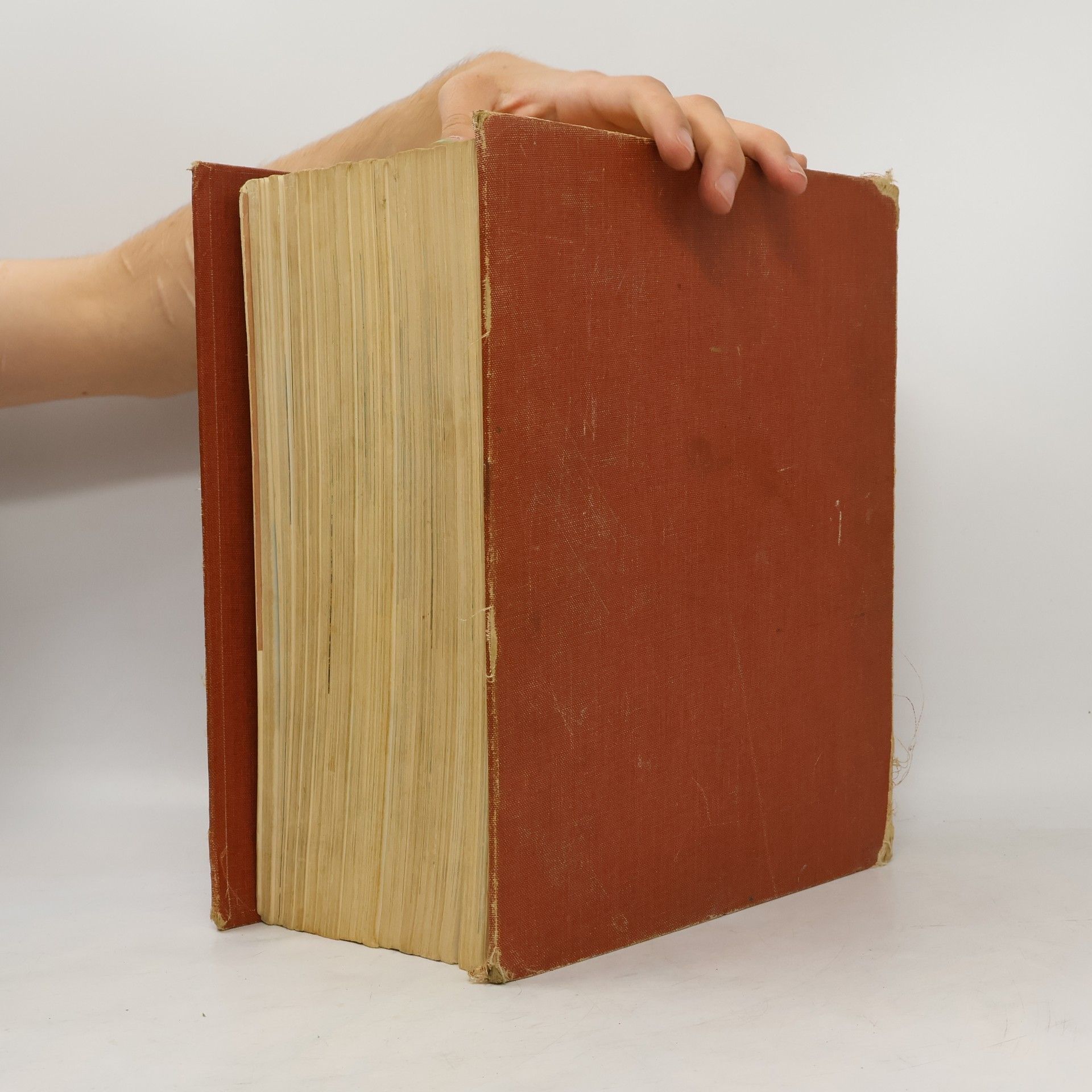 AA.VV. Webster Universal Dictionary