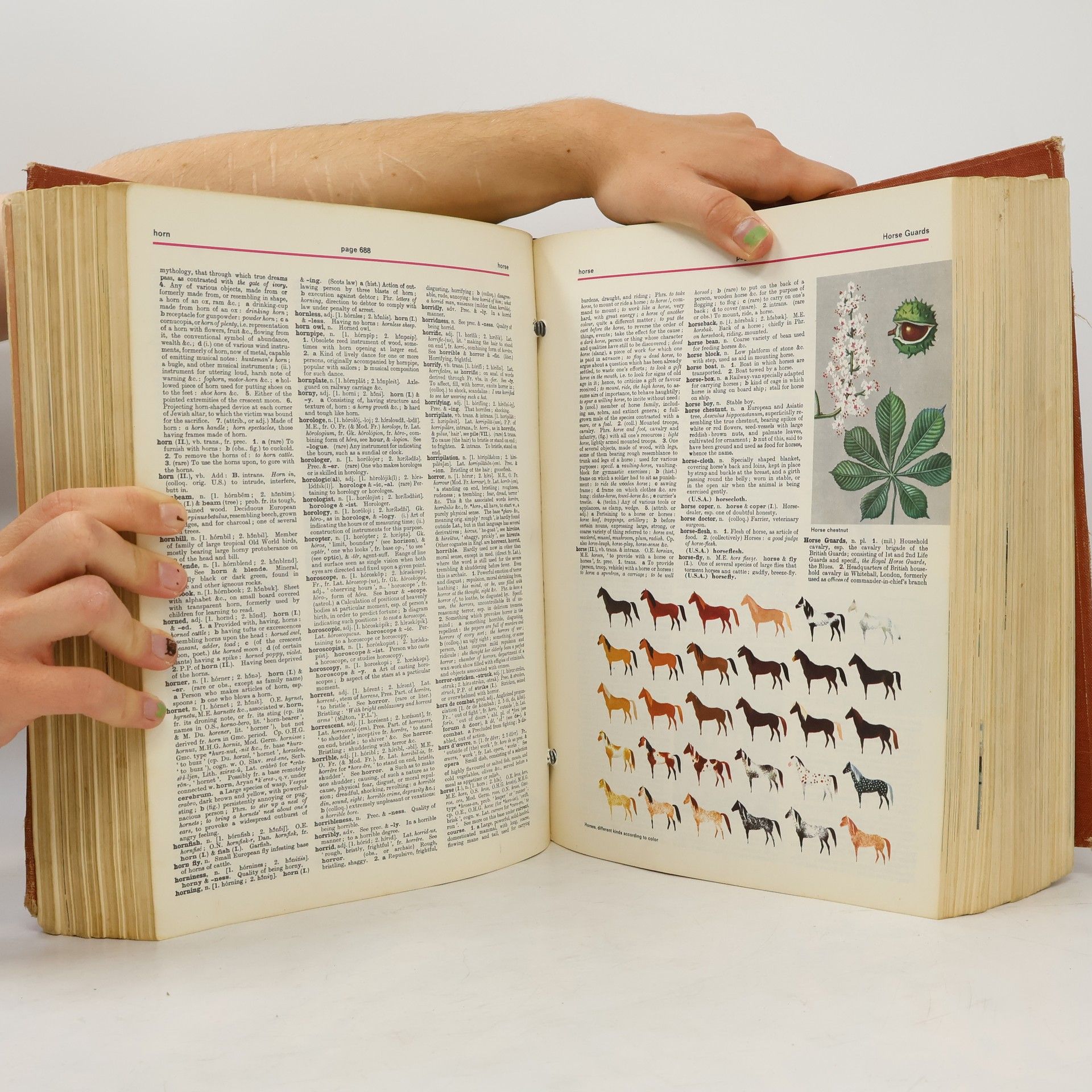 AA.VV. Webster Universal Dictionary