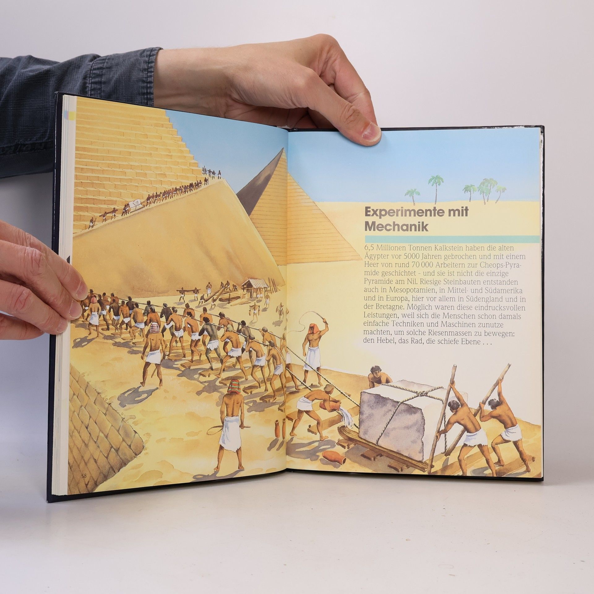 Autorenkollektiv Das neue Experimentier-Buch