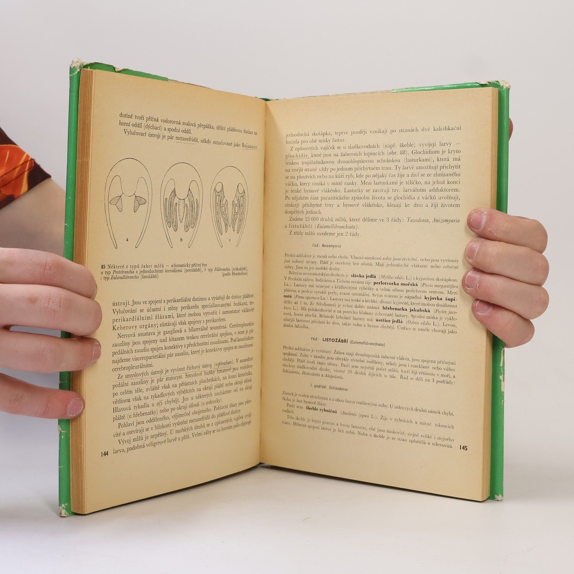 Autores varios Zoologie 1. díl