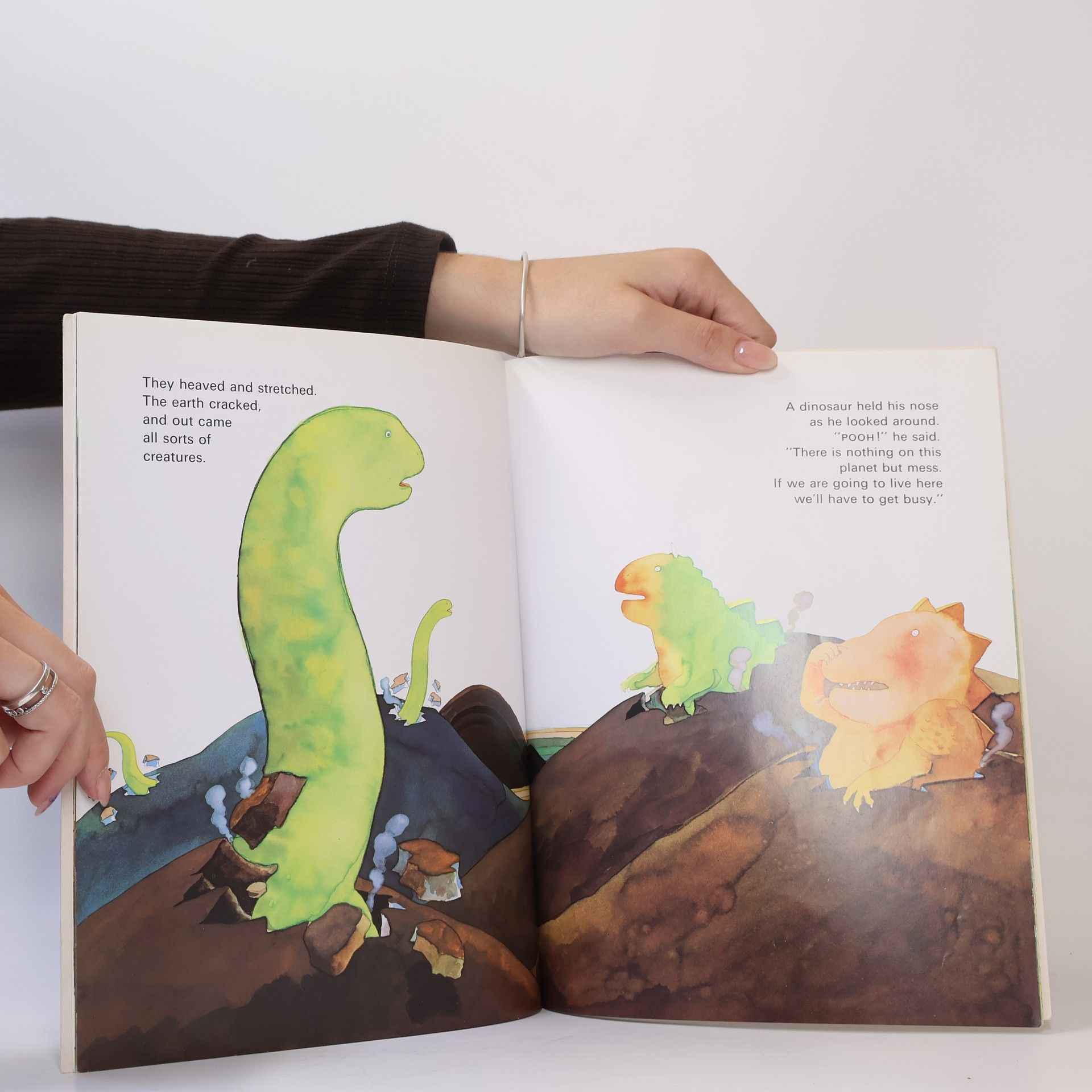 Michael Foreman Dinosaurs and All That Rubbish