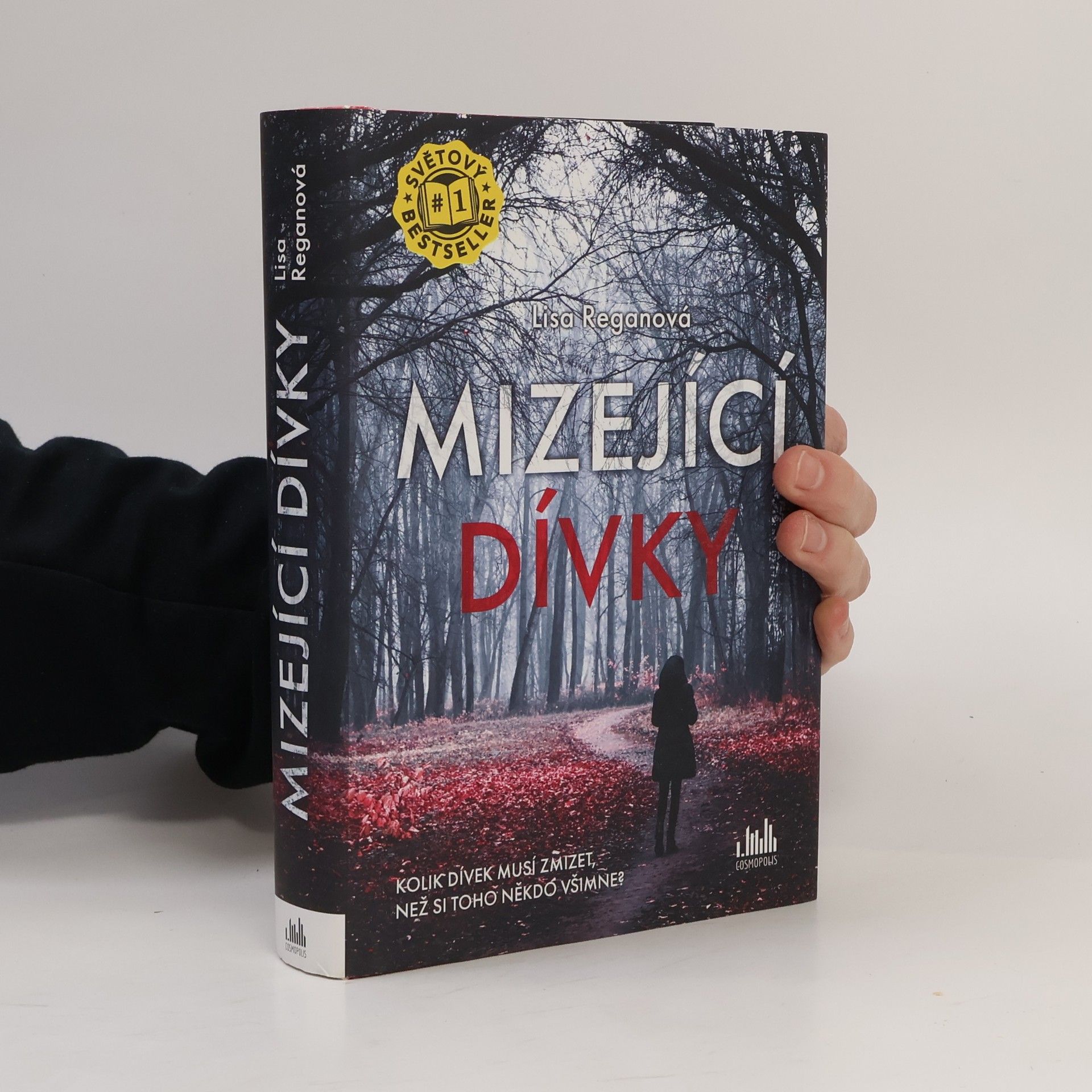 Lisa Regan Mizející dívky