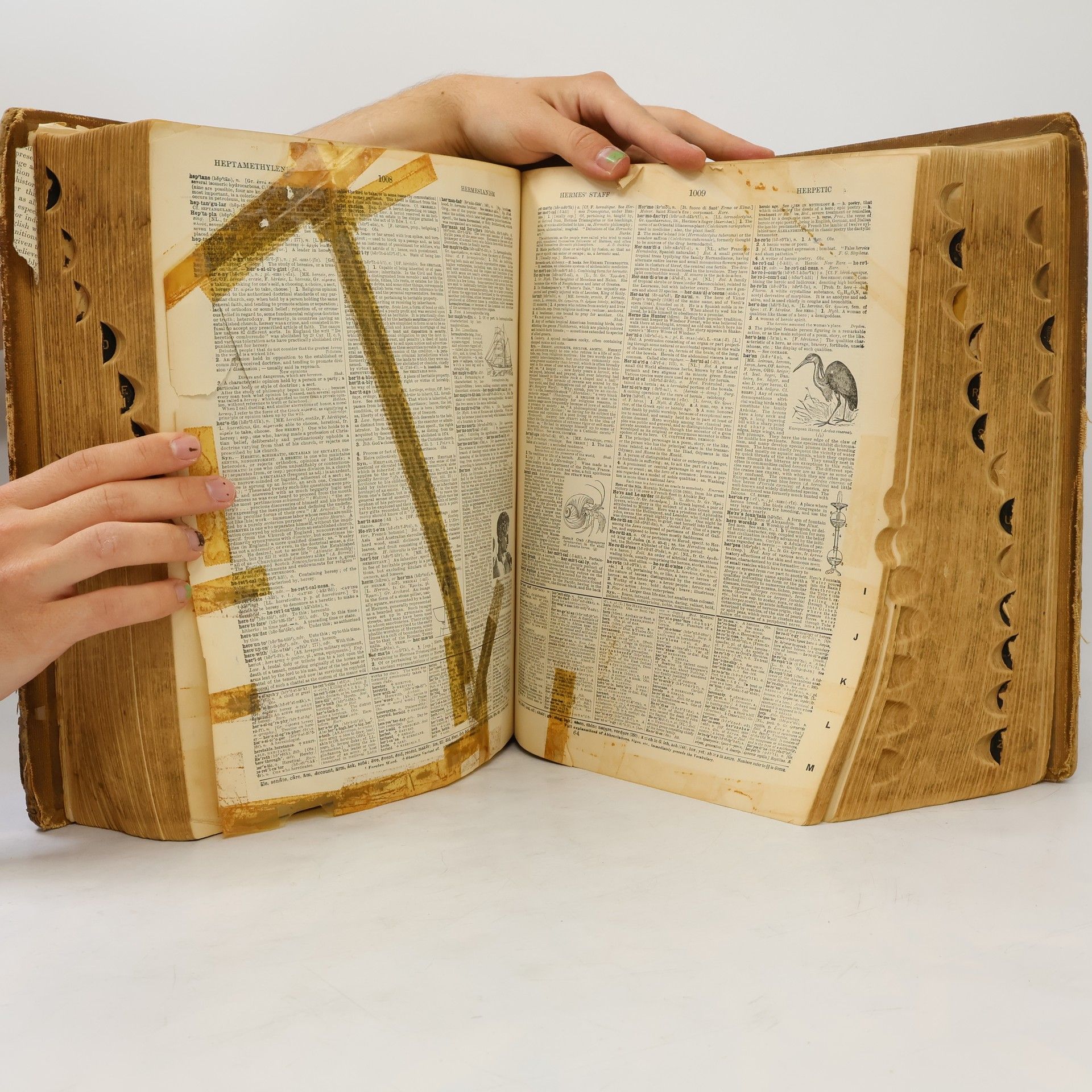 W. T. Harris Webster´s New International Dictionary