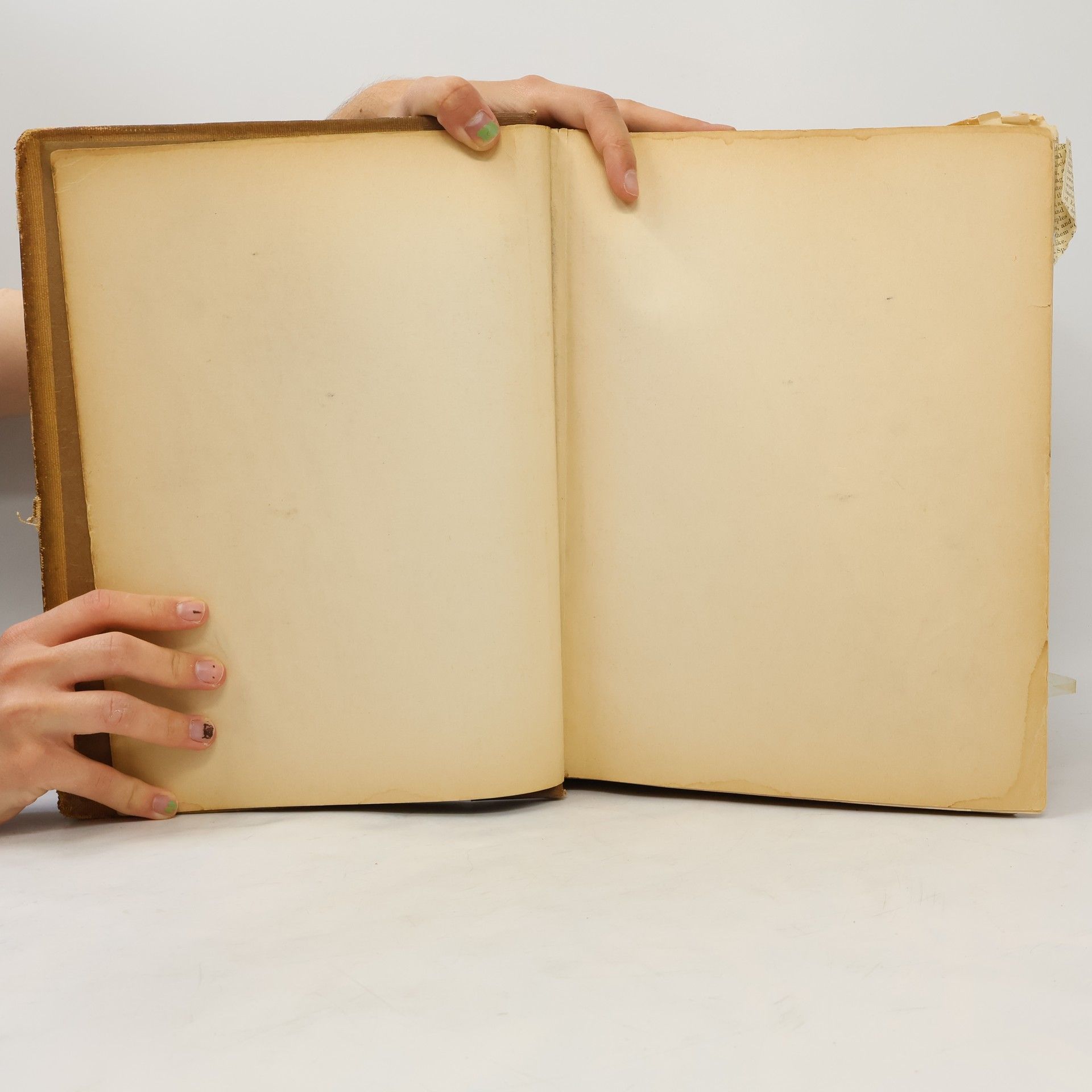 W. T. Harris Webster´s New International Dictionary