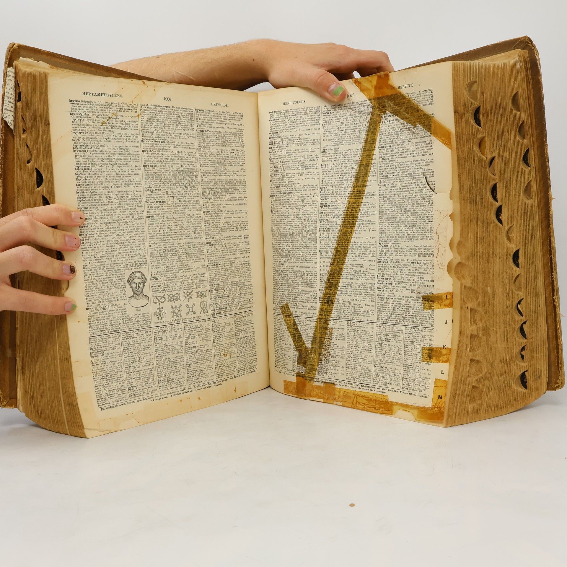 W. T. Harris Webster´s New International Dictionary