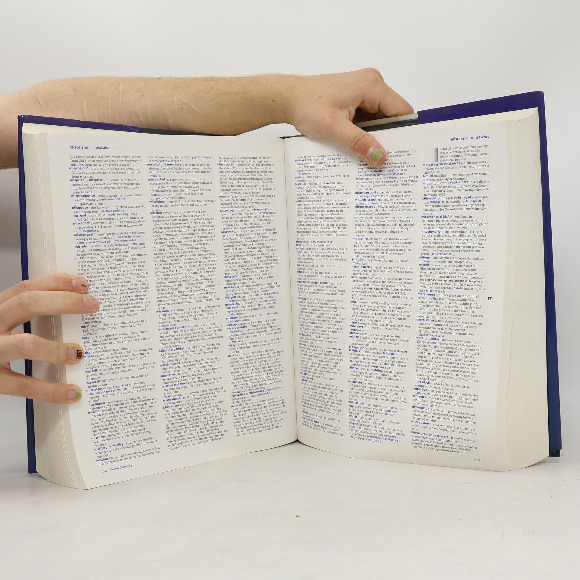 Sandra Anderson Collins English Dictionary