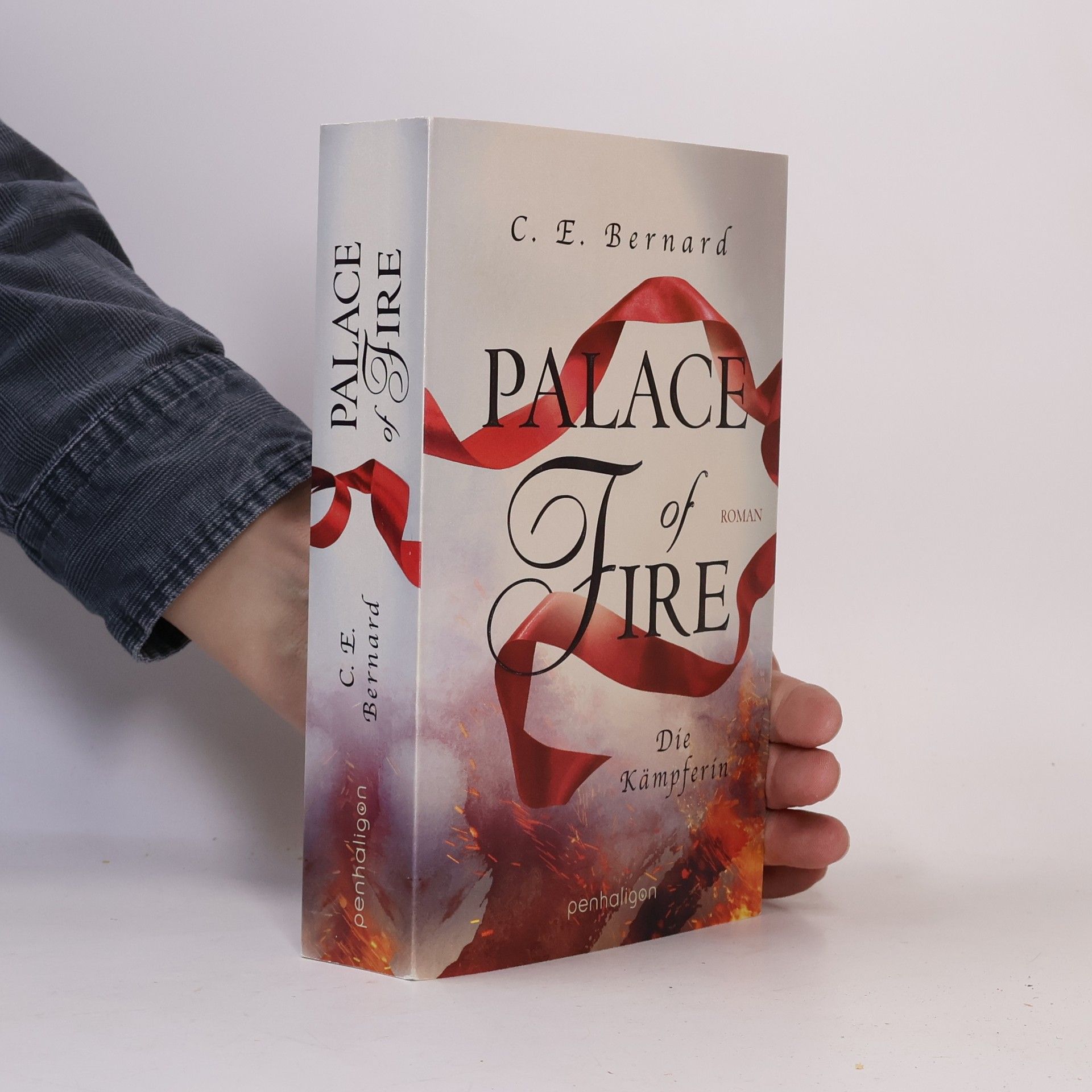 C. E. Bernard Palace of fire - die Kämpferin