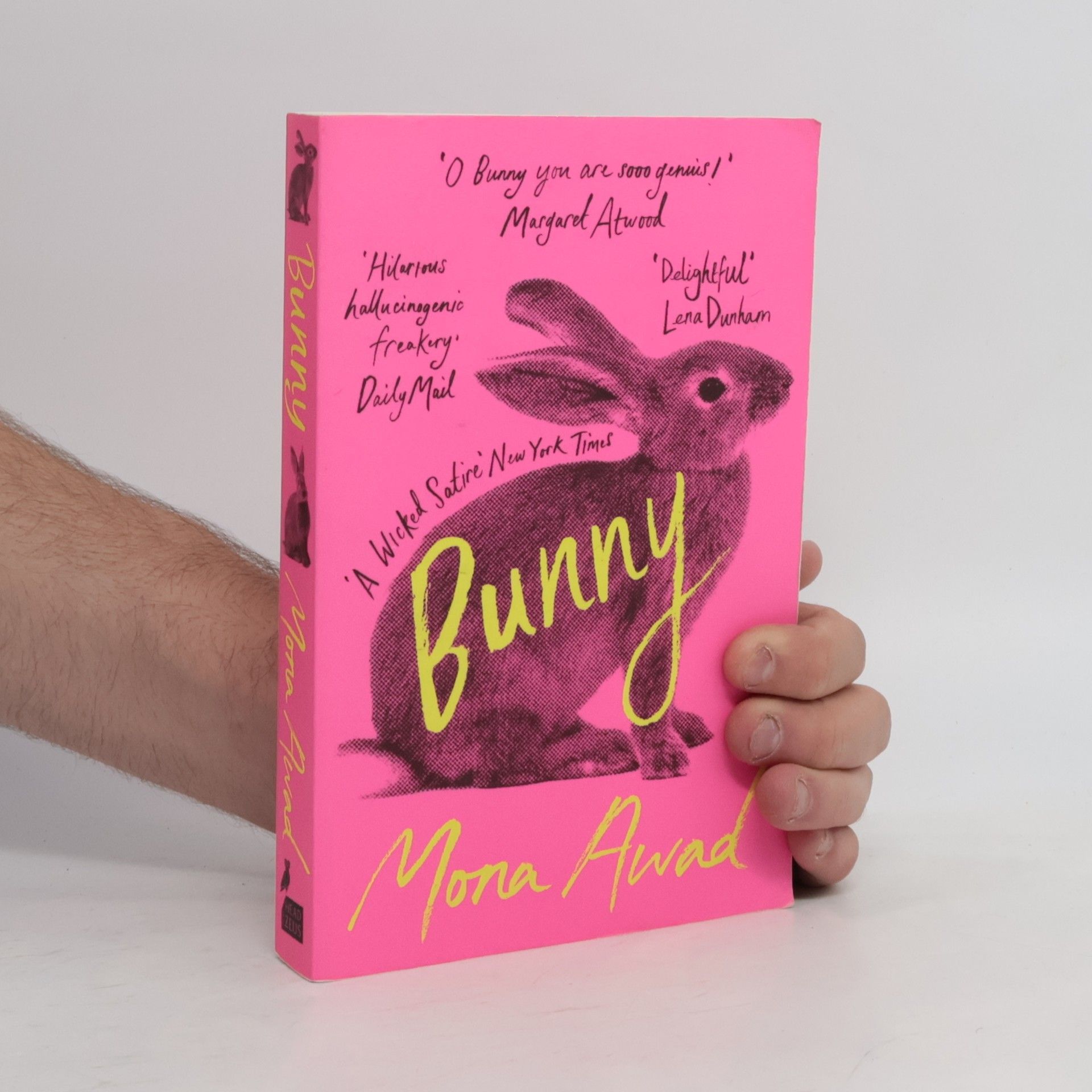 Mona Awad Bunny