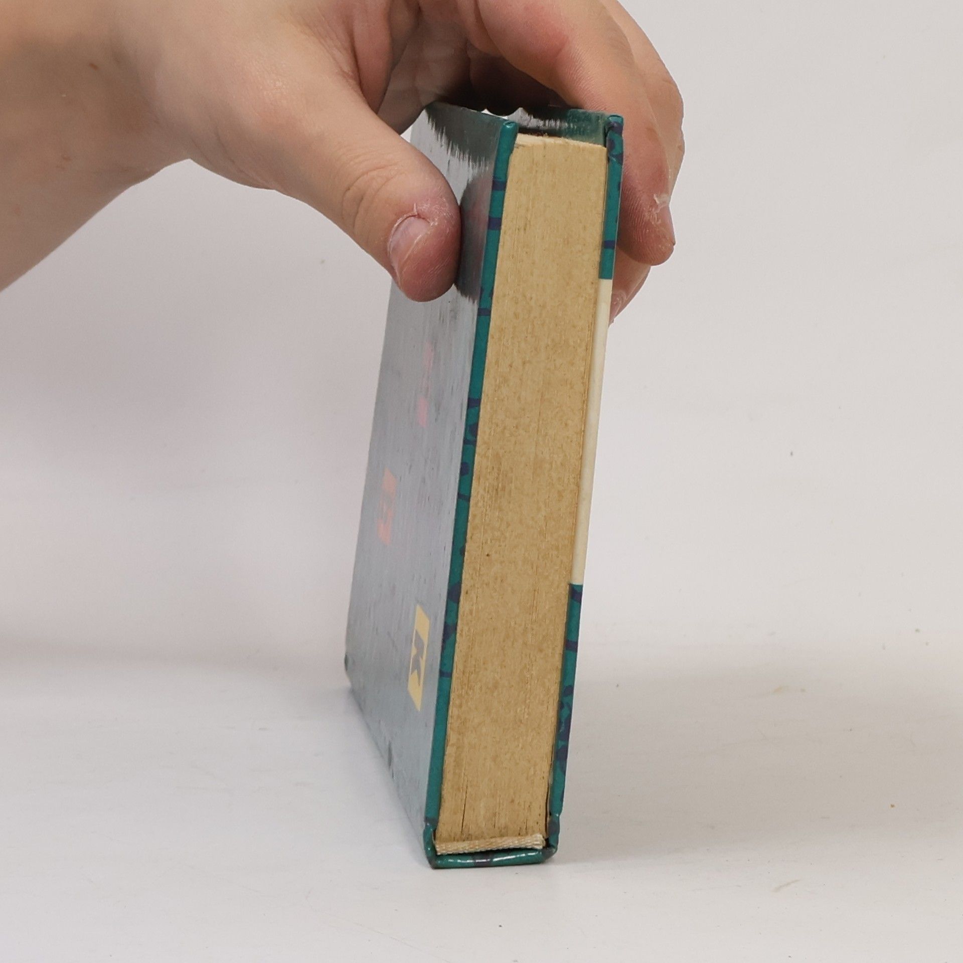 Vladimír Javorek Kapesní atlas brouků