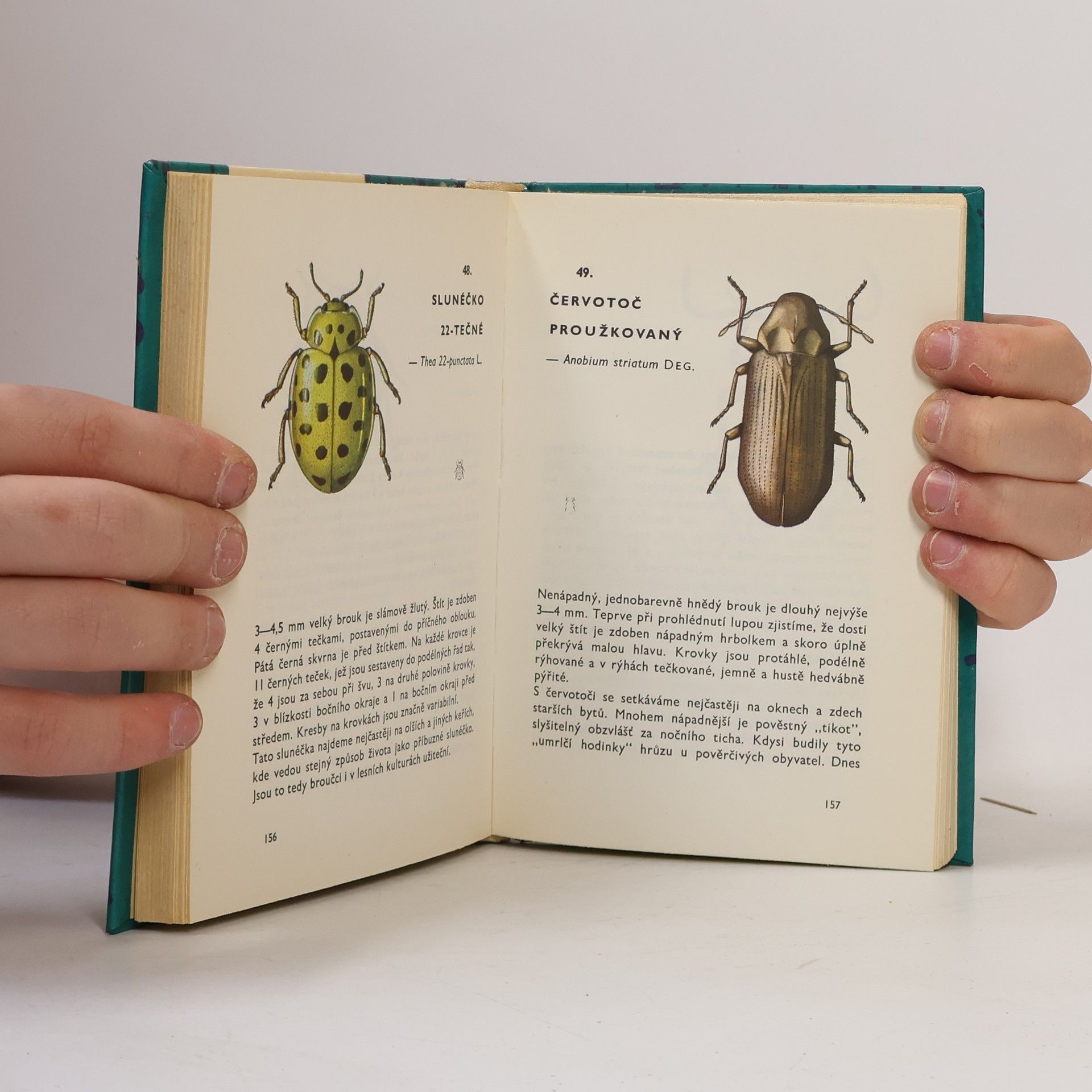 Vladimír Javorek Kapesní atlas brouků