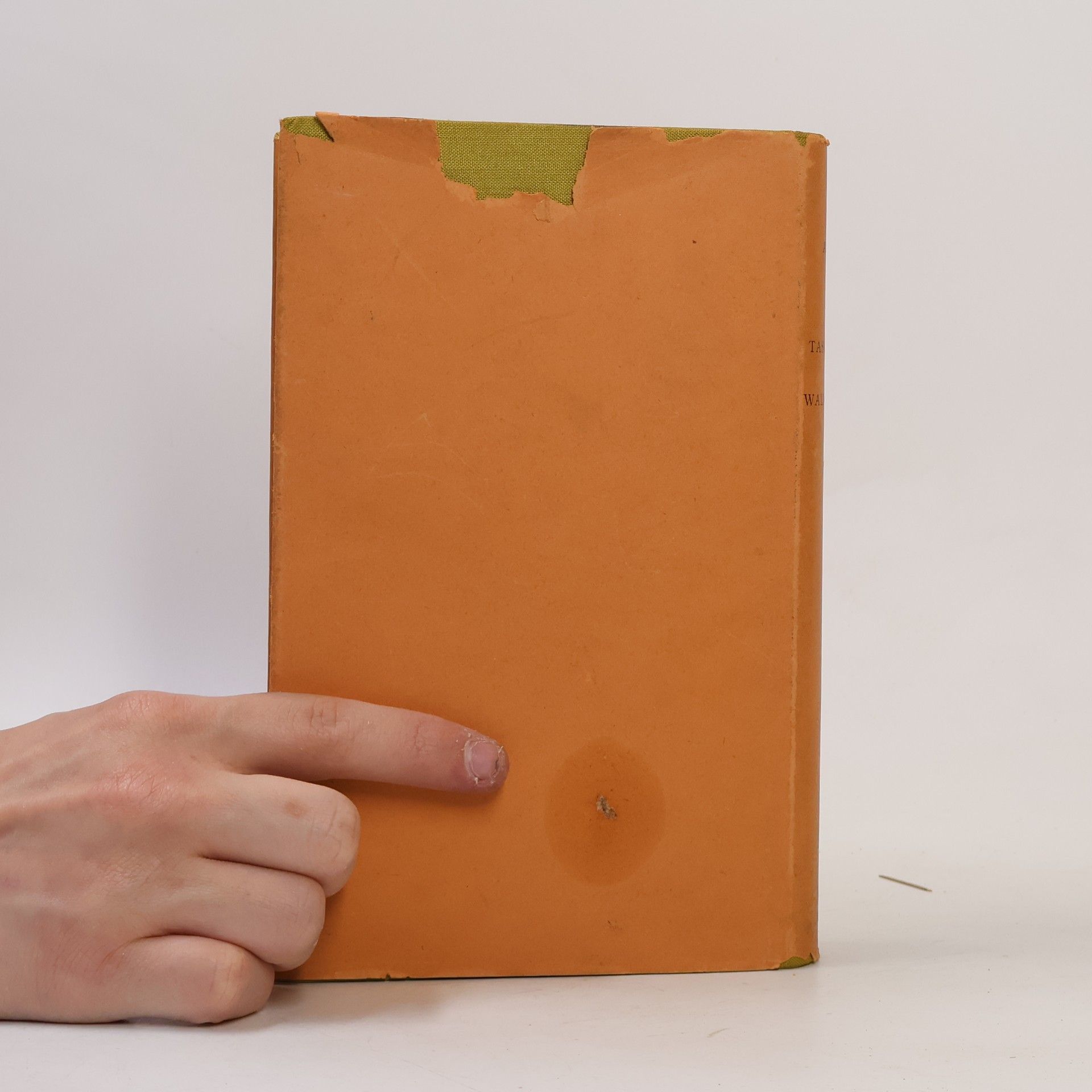 Adolf Brauns Taschenbuch der Waldinsekten