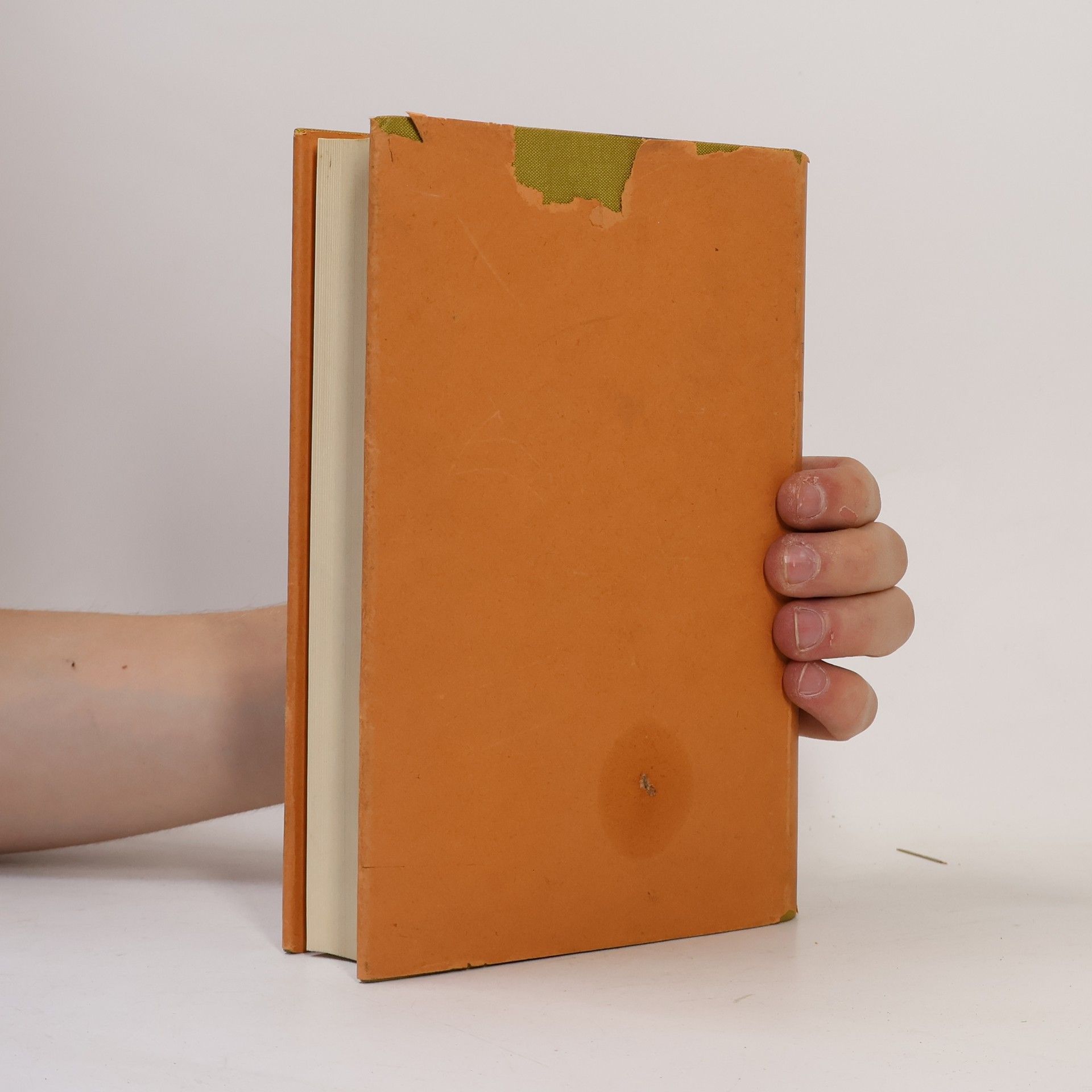 Adolf Brauns Taschenbuch der Waldinsekten