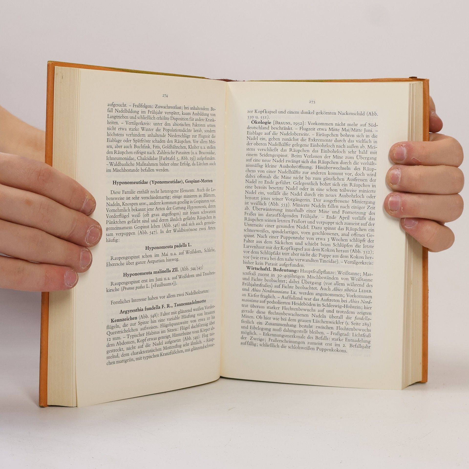 Adolf Brauns Taschenbuch der Waldinsekten