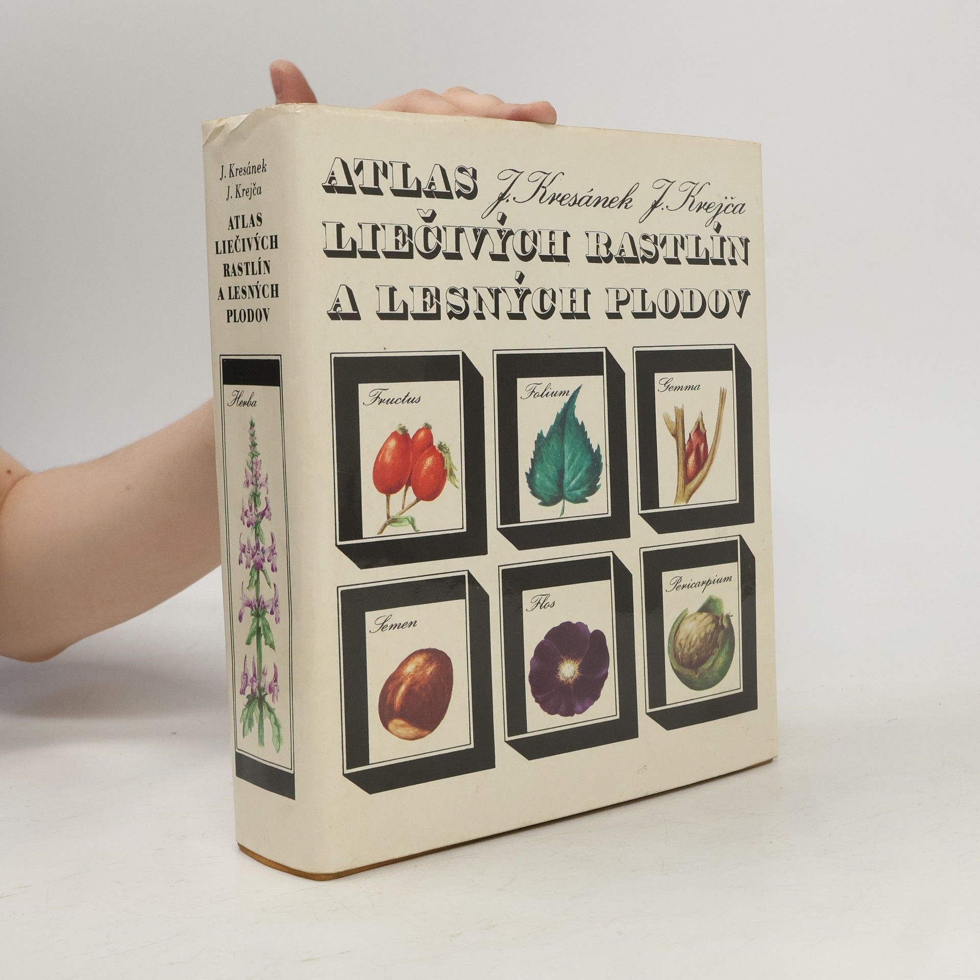 Jindřich Krejča Atlas liečivých rastlín a lesných plodov