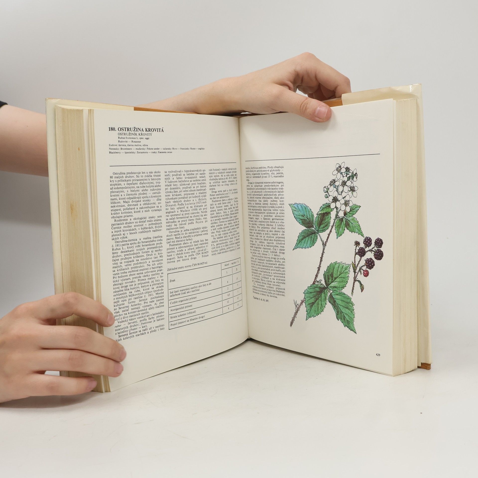 Jindřich Krejča Atlas liečivých rastlín a lesných plodov