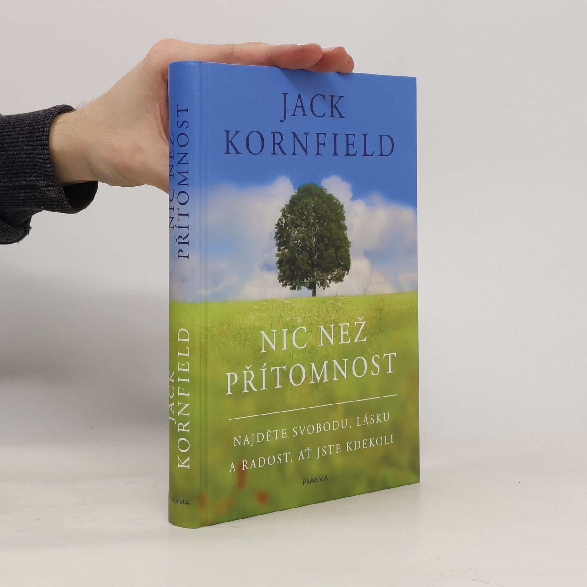 Jack Kornfield Nic než přítomnost