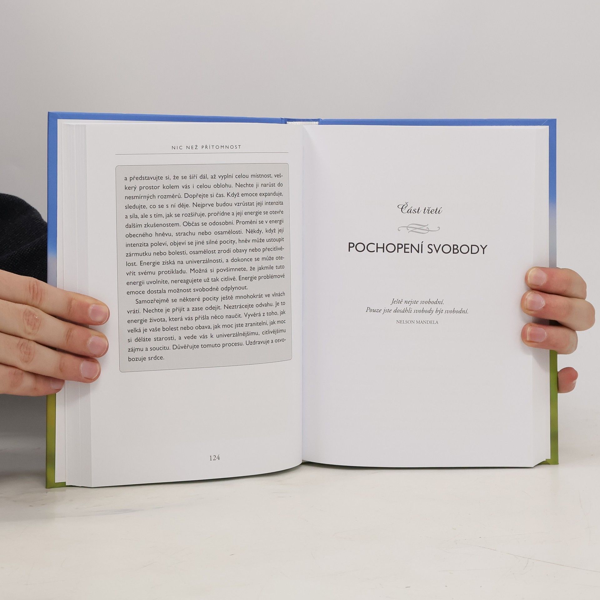 Jack Kornfield Nic než přítomnost