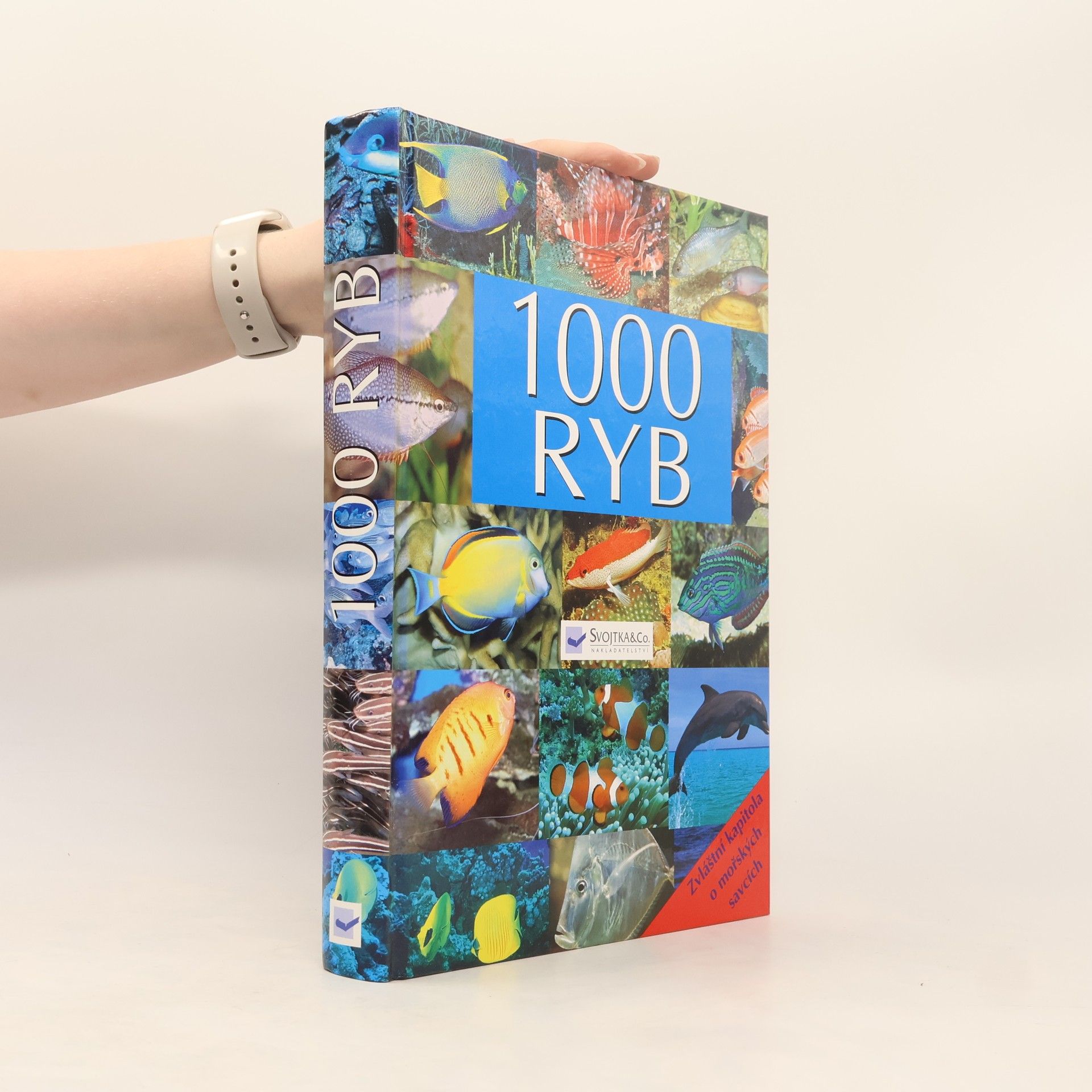 Autorenkollektiv 1000 ryb